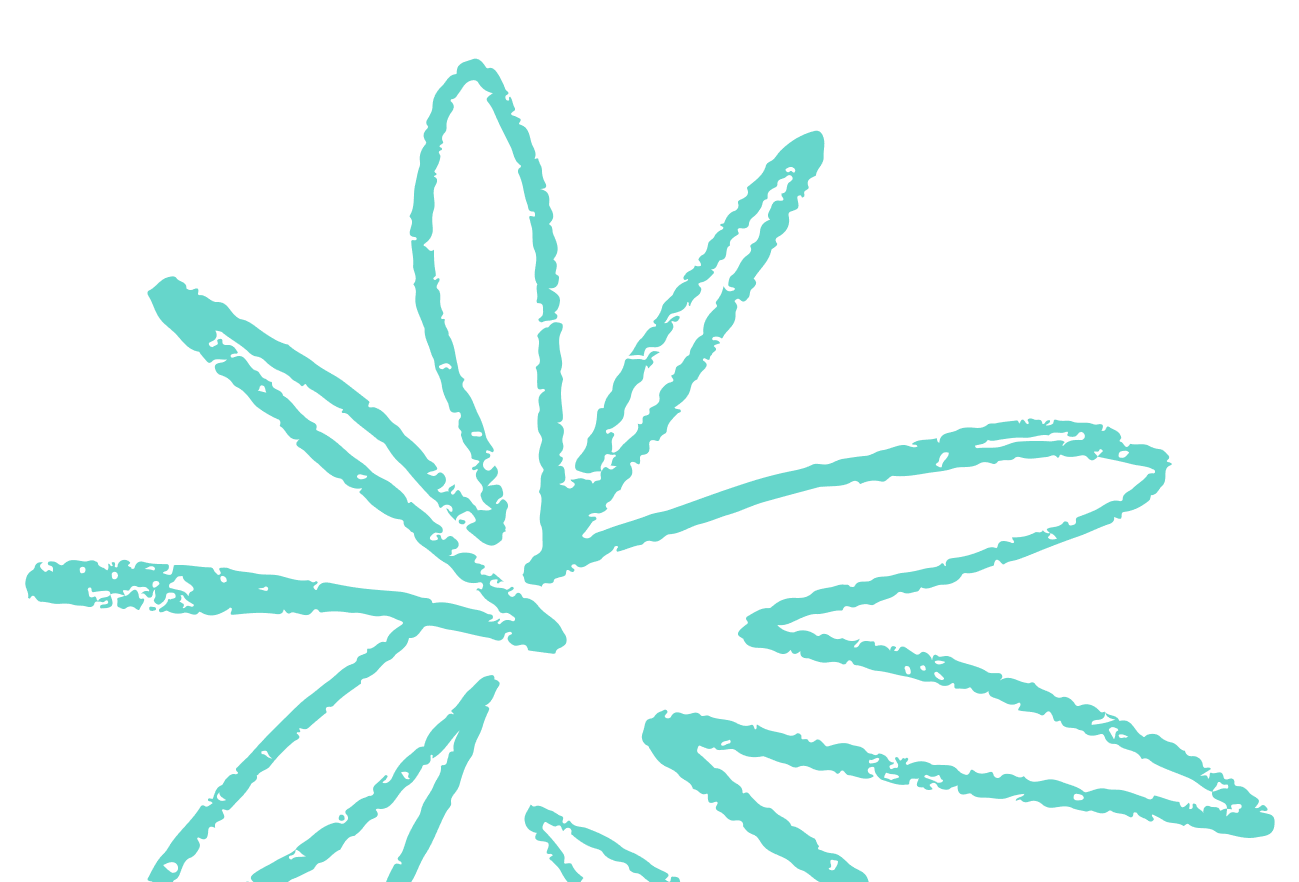 A light blue botanical illustration resembling a palm leaf or fern on a black background.