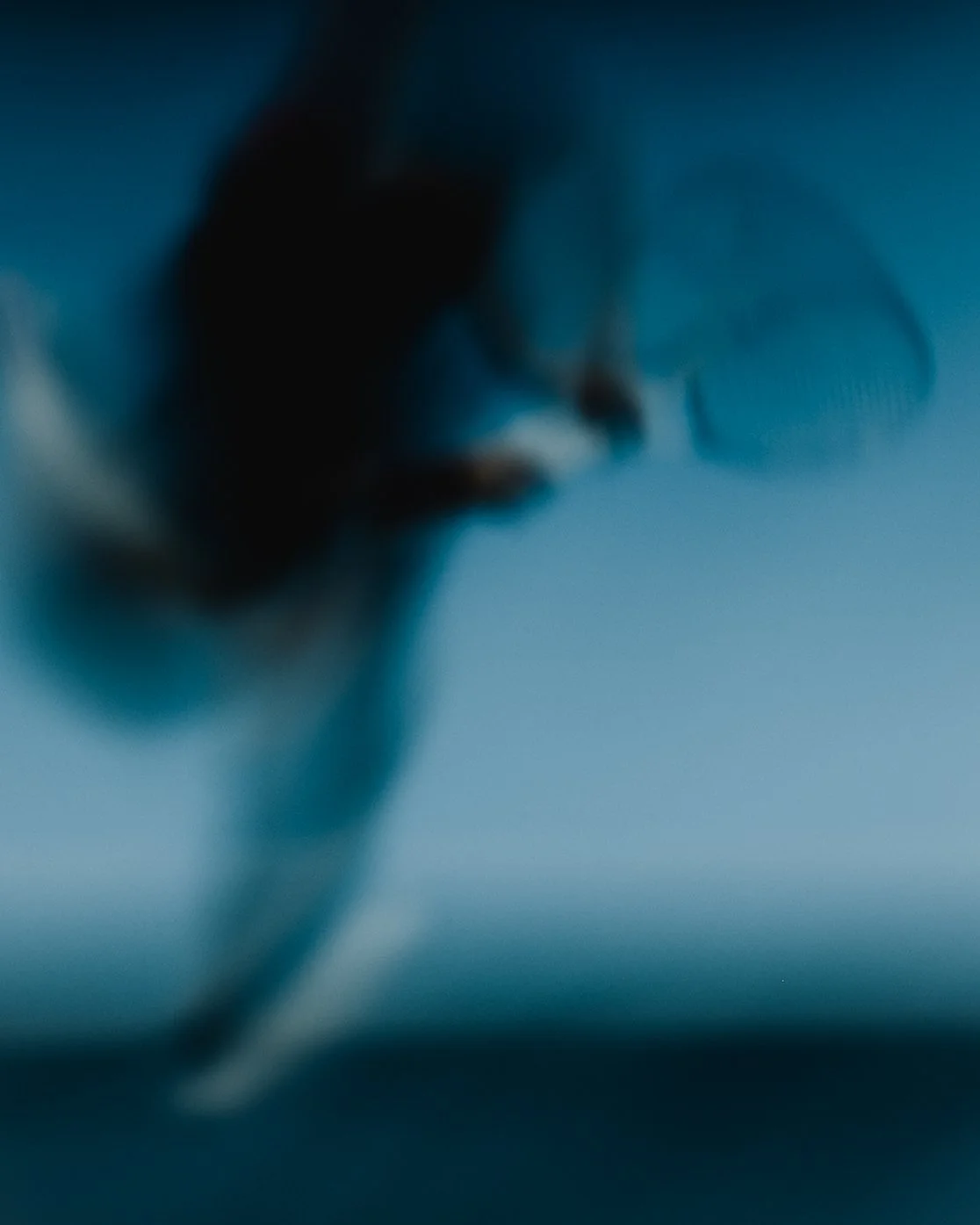 Jannik Sinner-Flo_Pernet-18.JPG