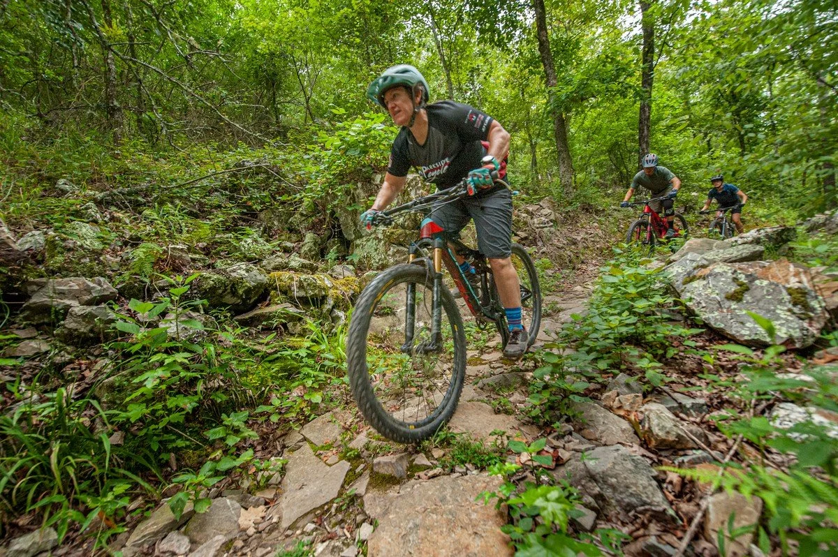 Top 20 Attractions for Nature Lovers