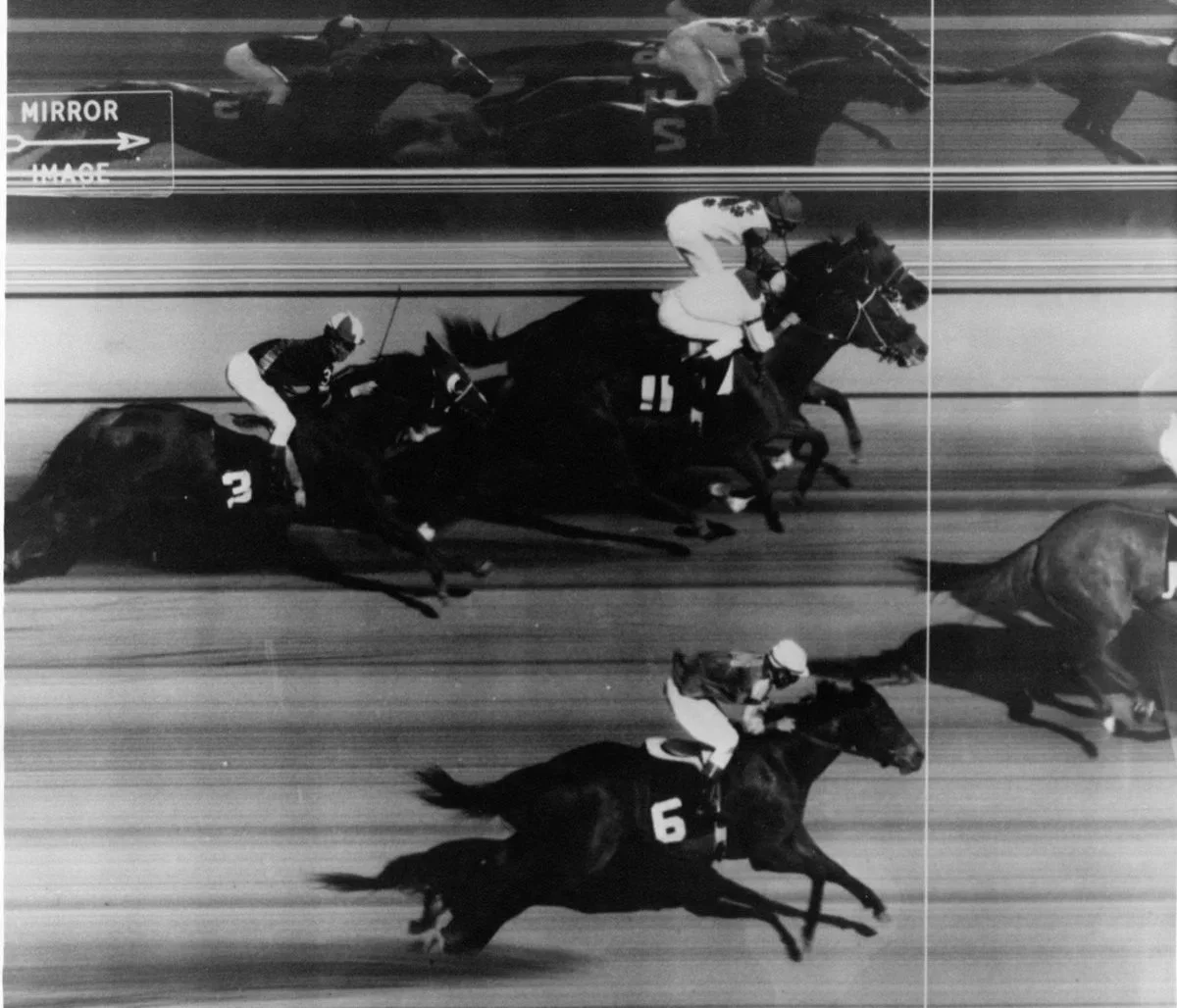 Legacy Beneath the Springs