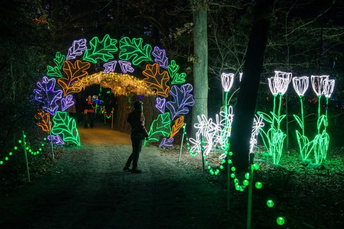 GARDEN SIDEBAR 1.jpeg