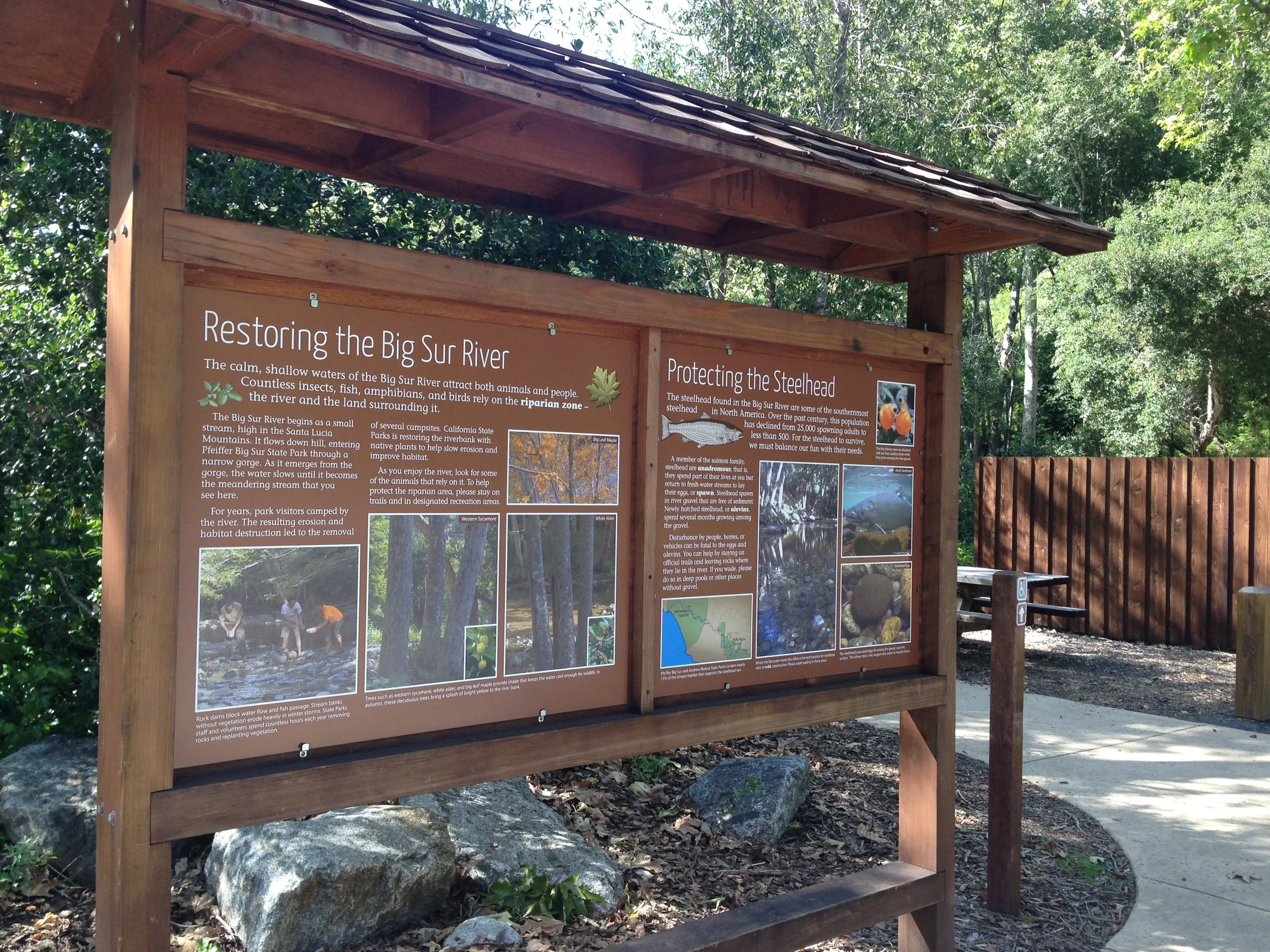 Wooden informational signboard about restoring the Big Sur River and protecting the Steelhead, situated outdoors near a wooded area with a dirt and concrete path.