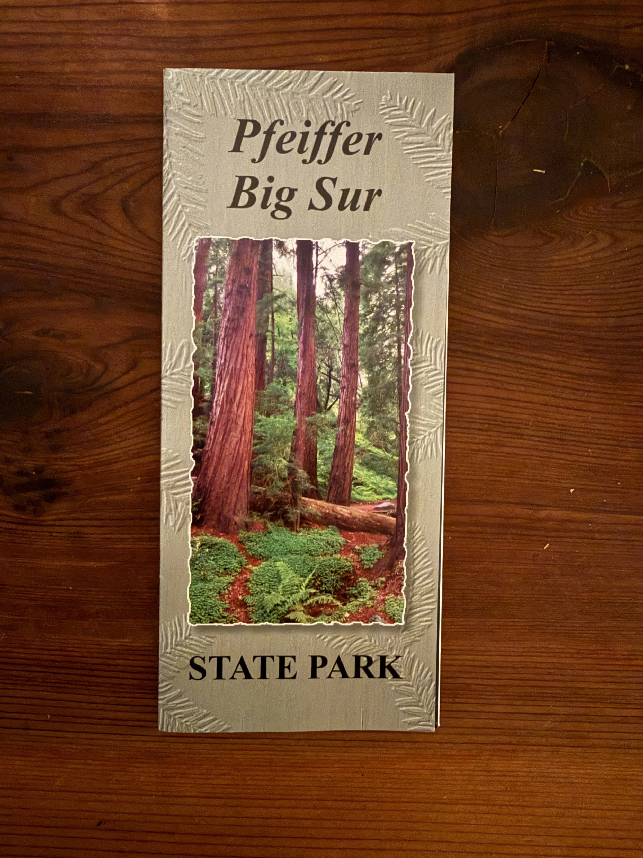 Brochure for Pfeiffer Big Sur State Park featuring a photograph of tall redwood trees in a forest.