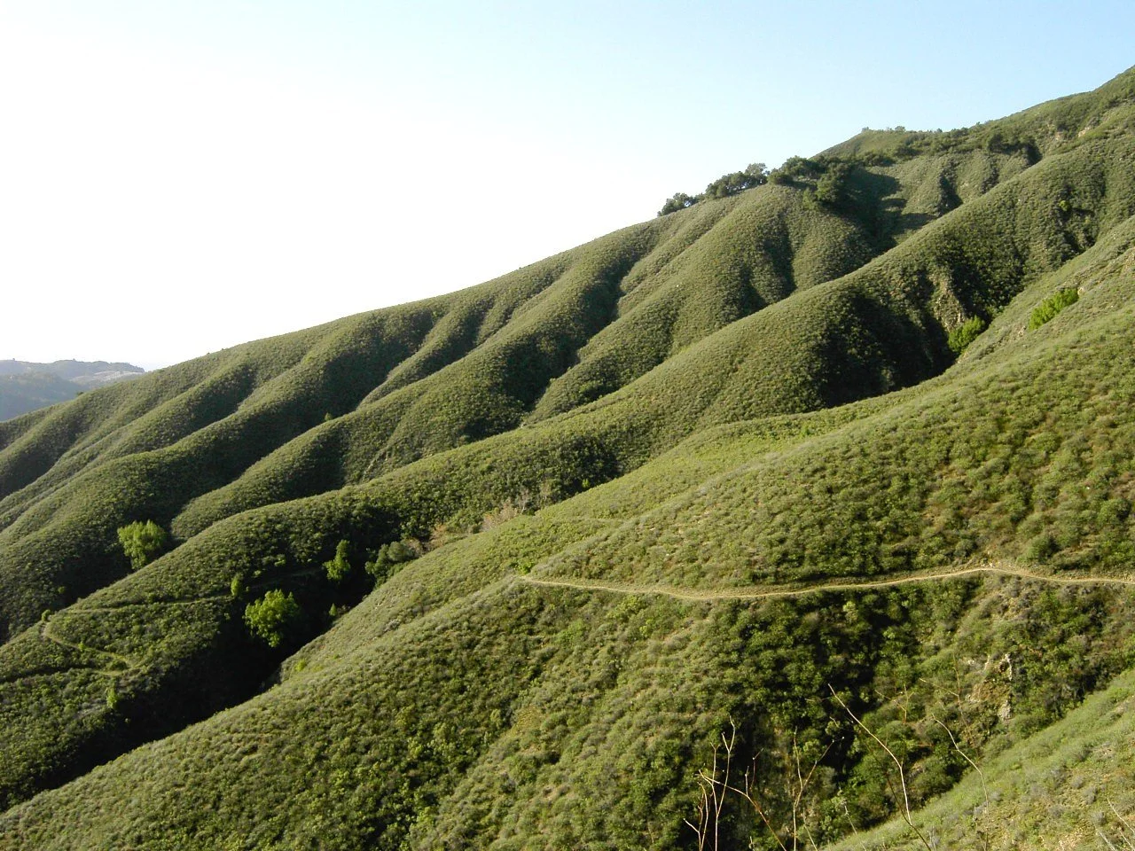 Green rolling hills with a narrow dirt trail winding through them.