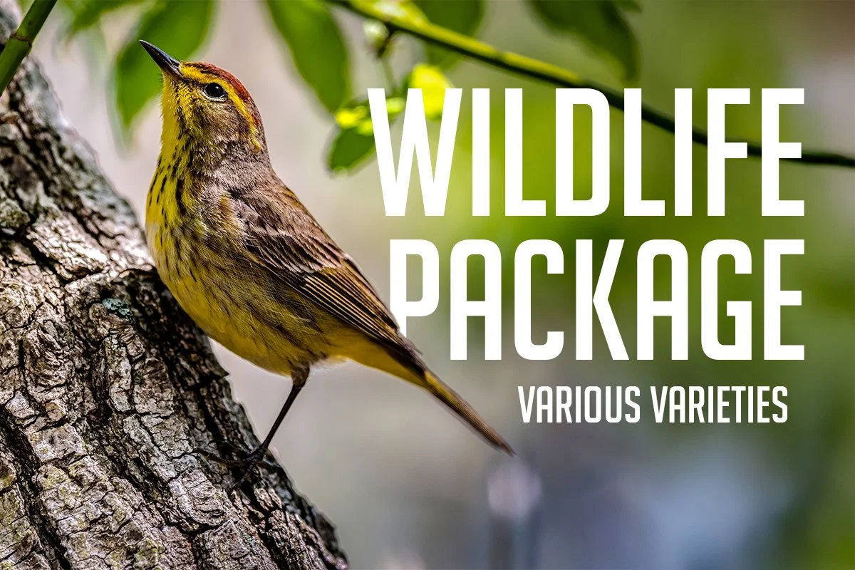 Wildlife Packet