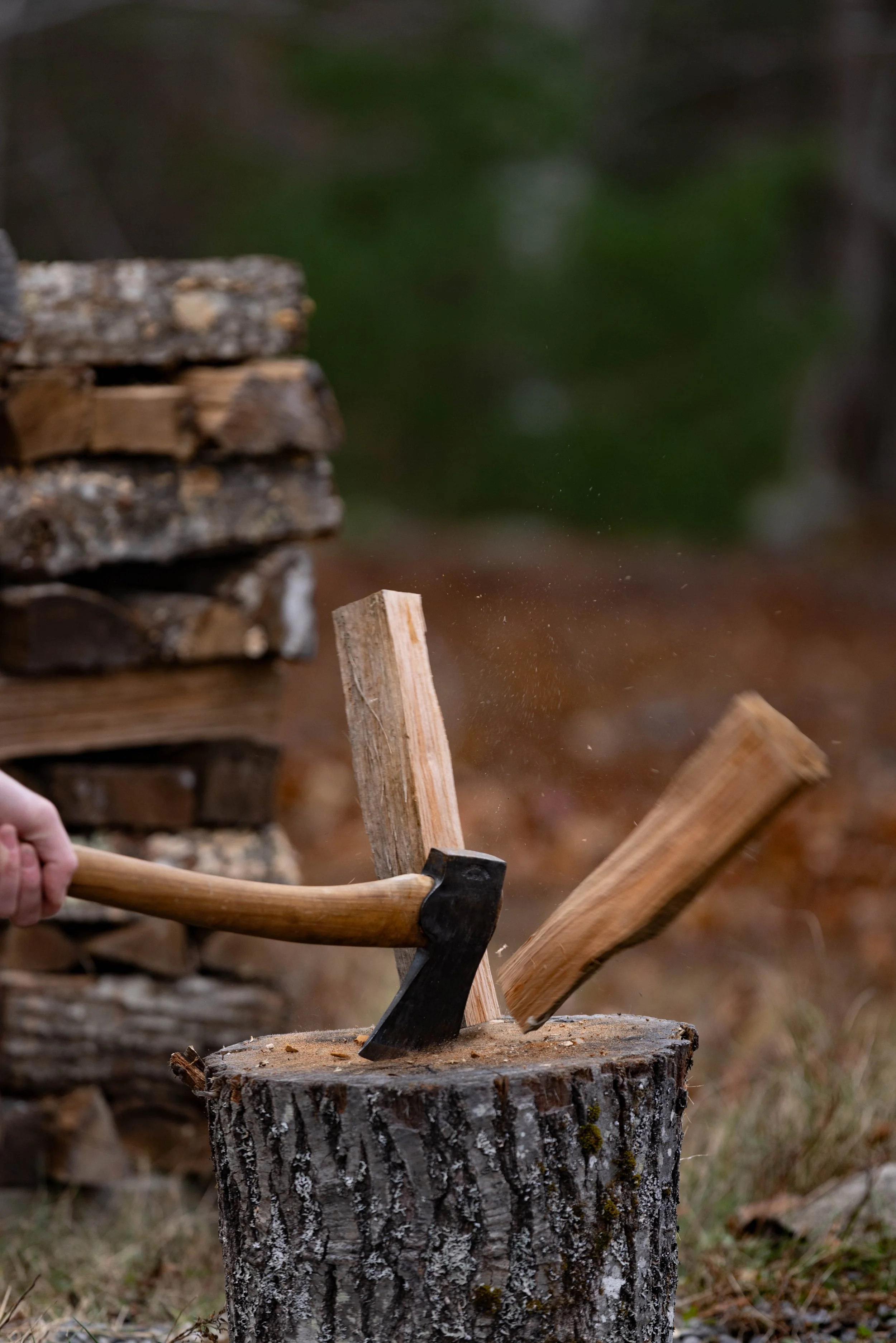 An axe chopping wood on a tree stump with wood chips flying, in a forest setting.