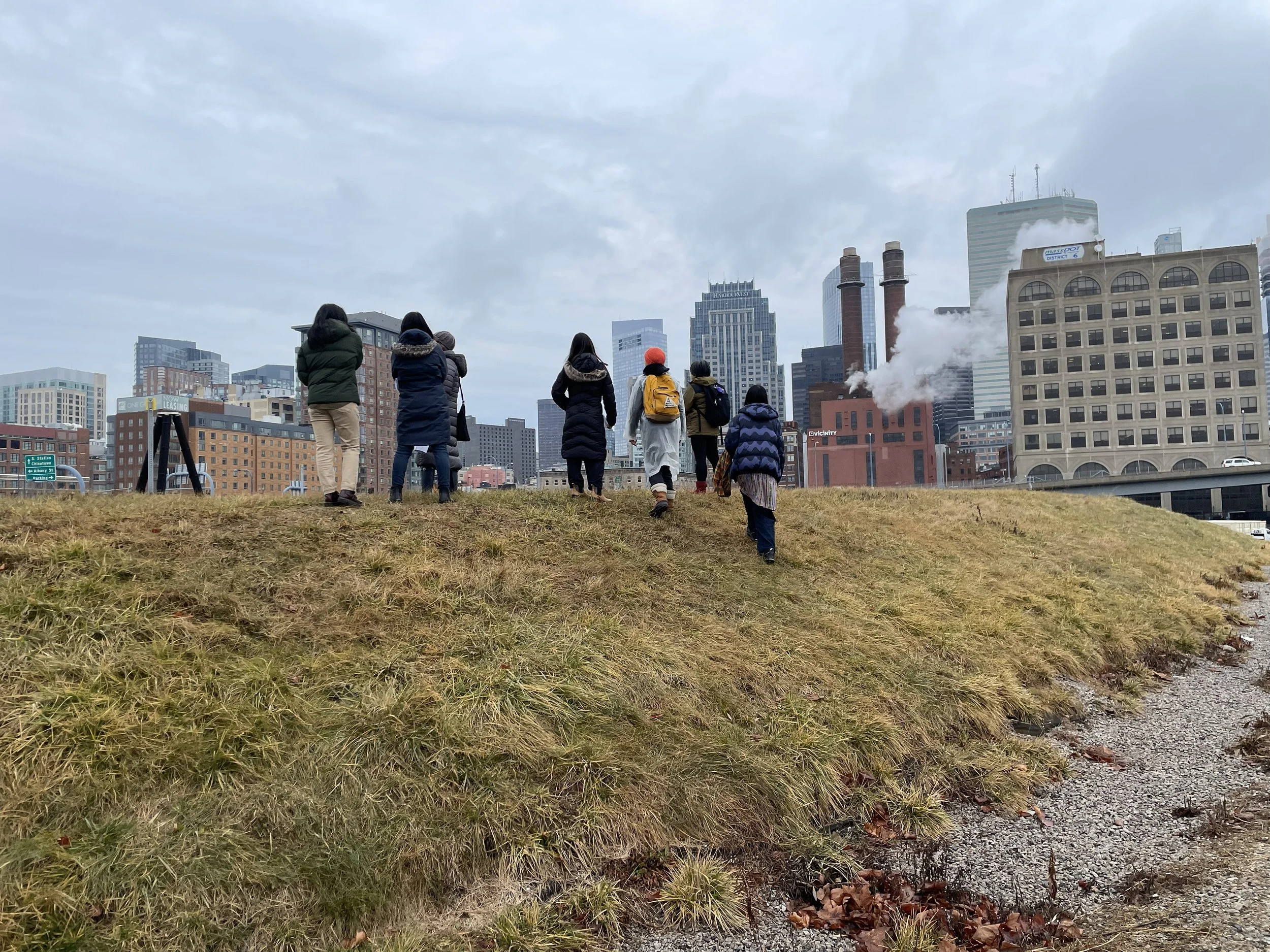 A group of people walking up a grassy hill with an urban city skyline in the background on a cloudy day.