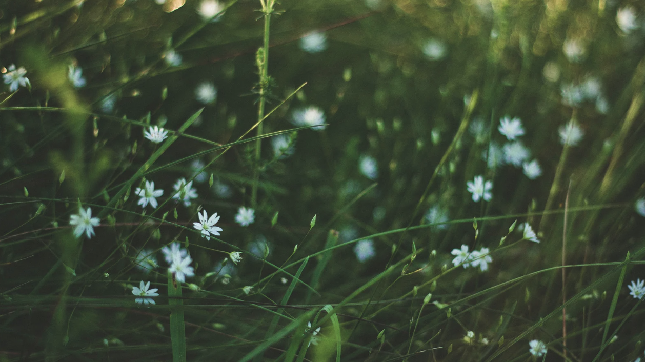 Screenshot 2026-04-02 at 9.31.52 AM.png