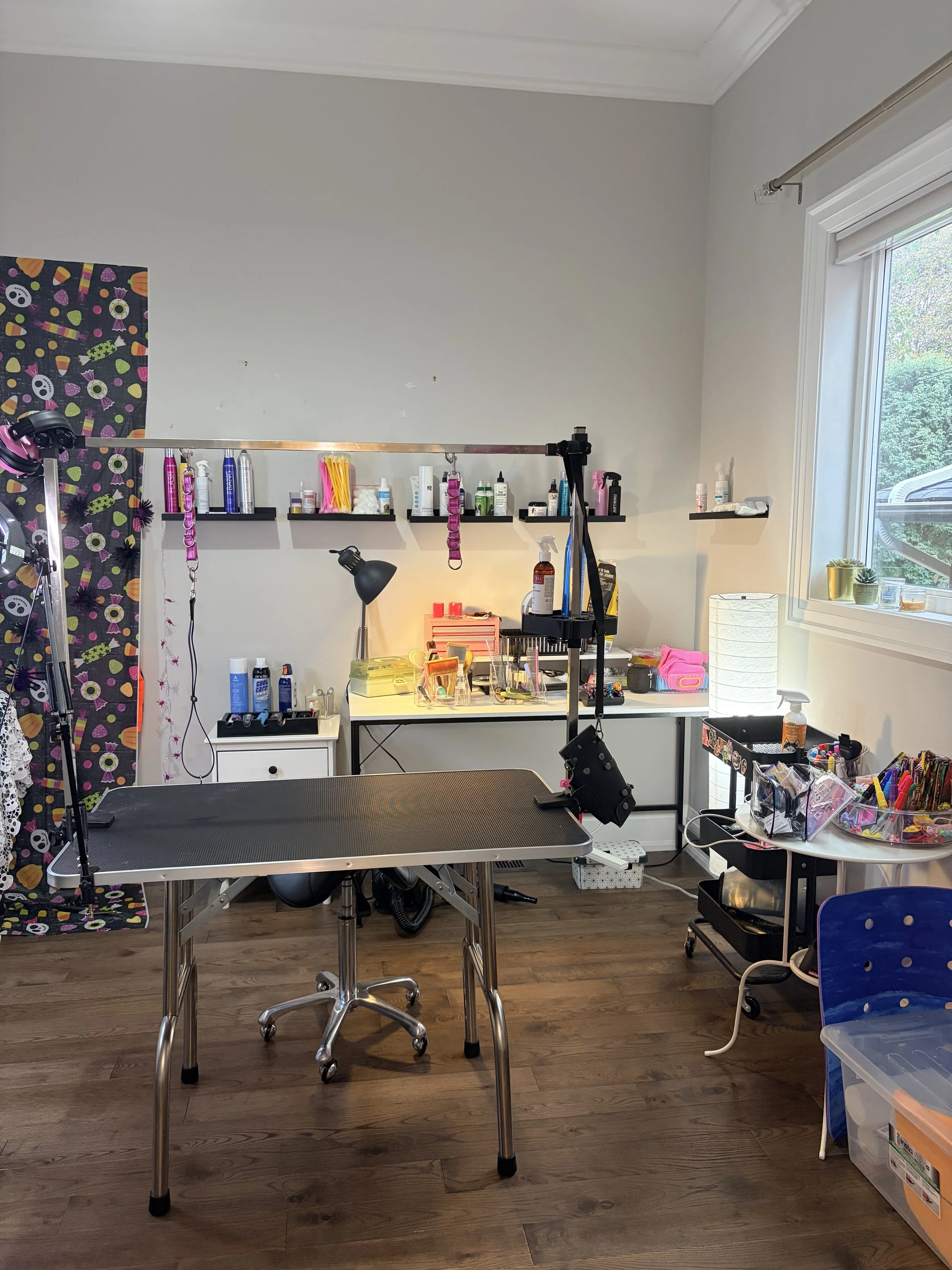 A room with a grooming table, various grooming supplies, shelves with bottles, and a window with a view of greenery outside.
