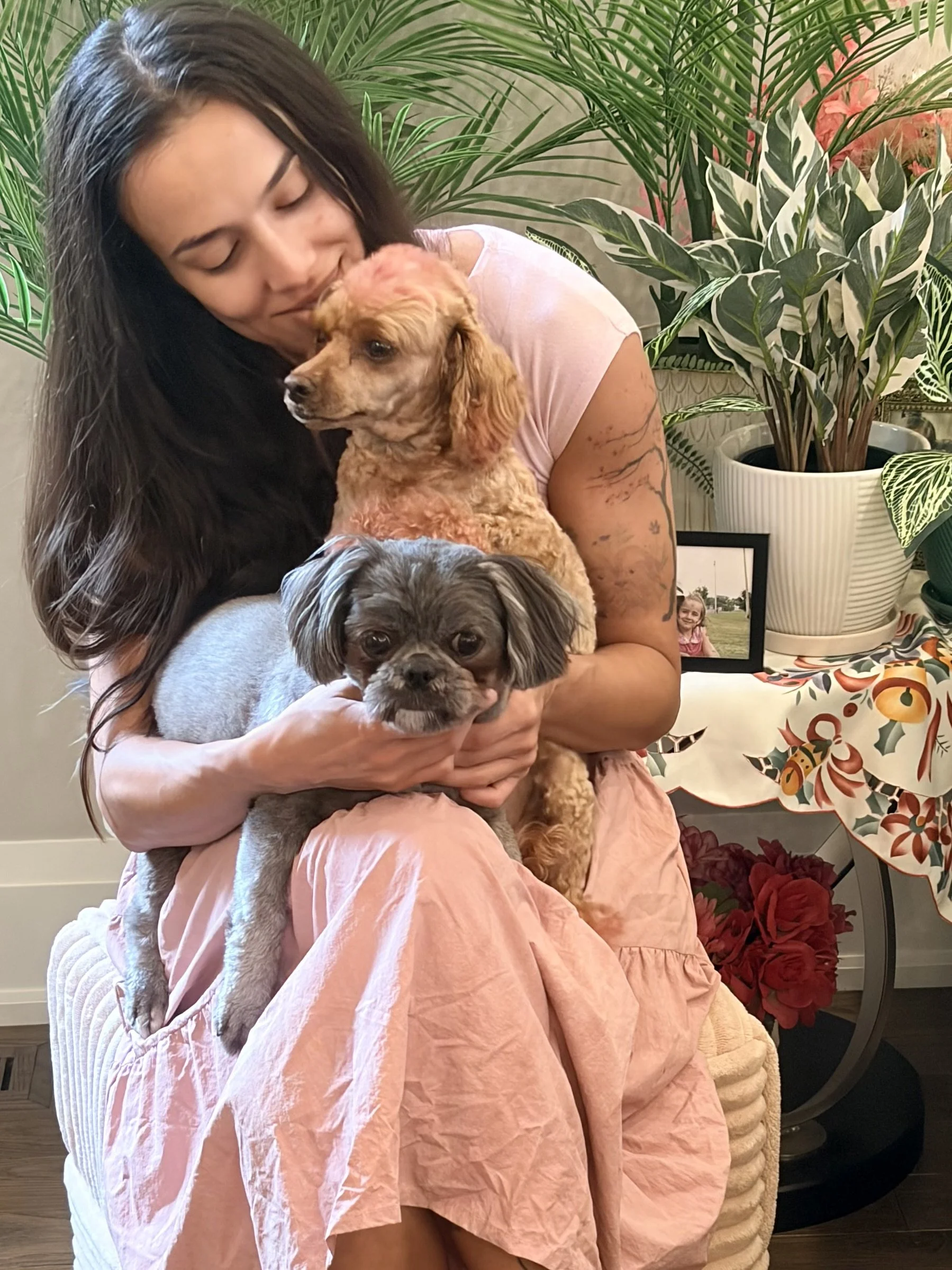 A woman with long dark hair holding three small dogs, one tan with long ears, and two gray, in a room with plants, a picture frame, and a tablecloth with a holiday pattern.