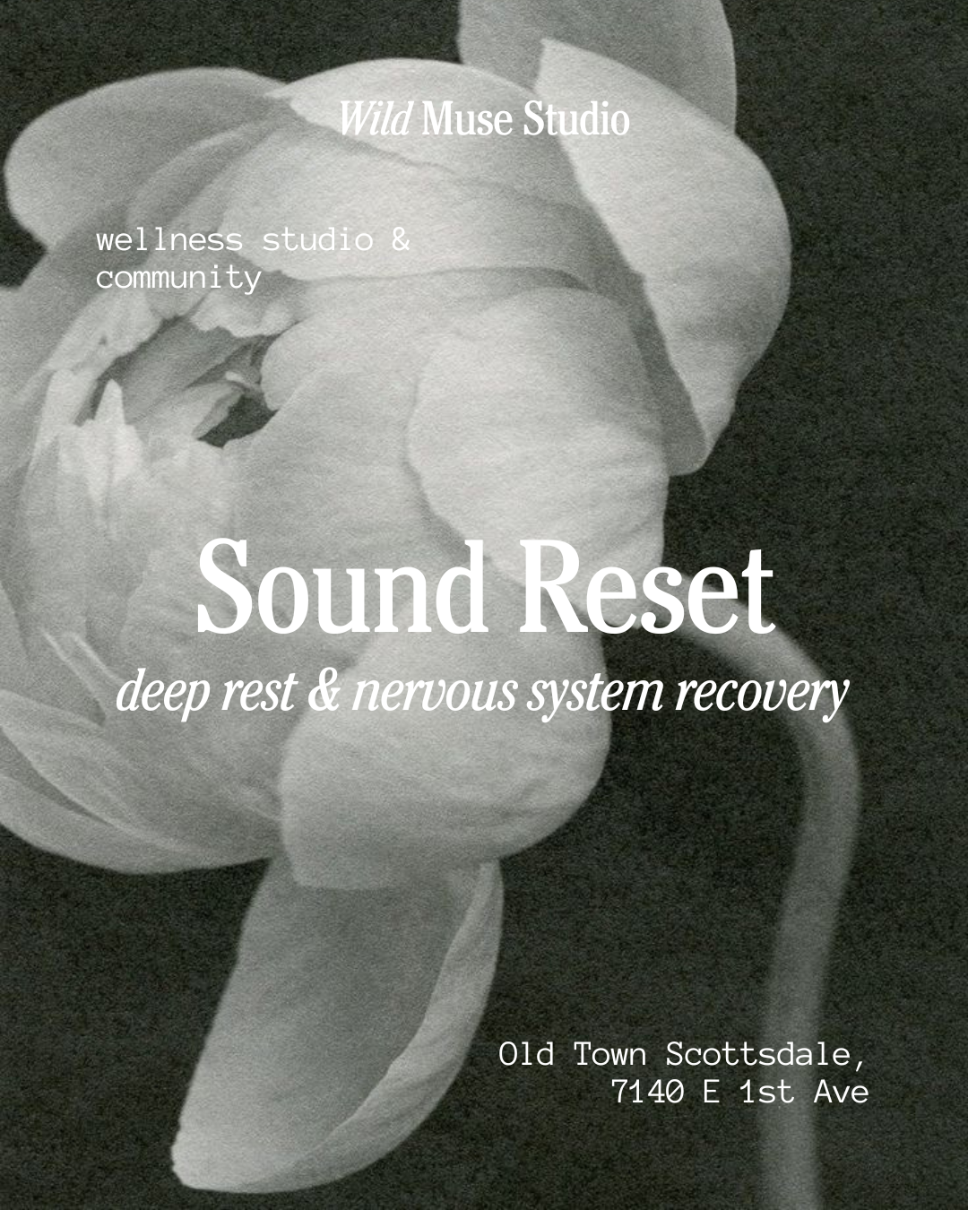Sound Reset