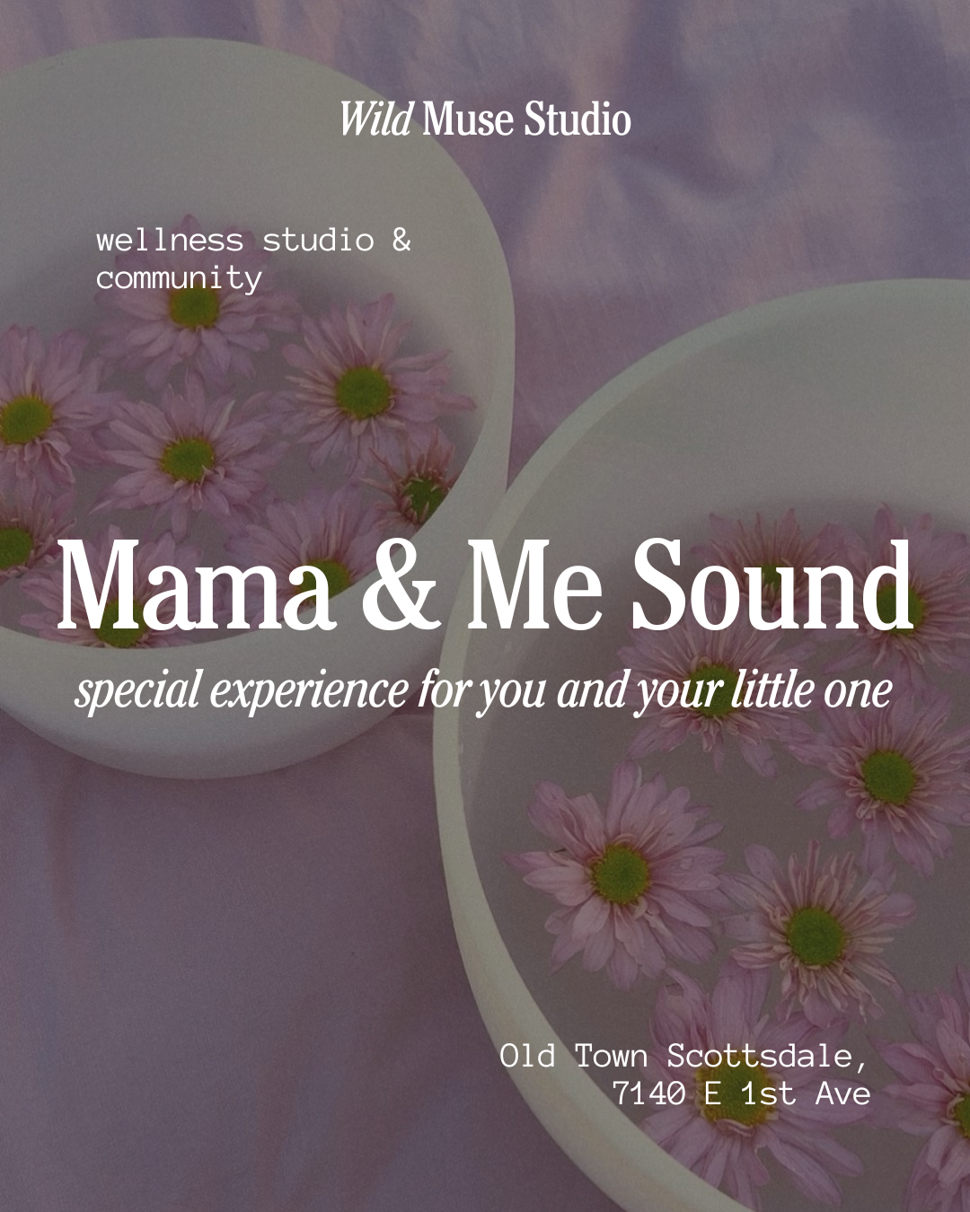 Copy of Copy of About me Dina (4).png