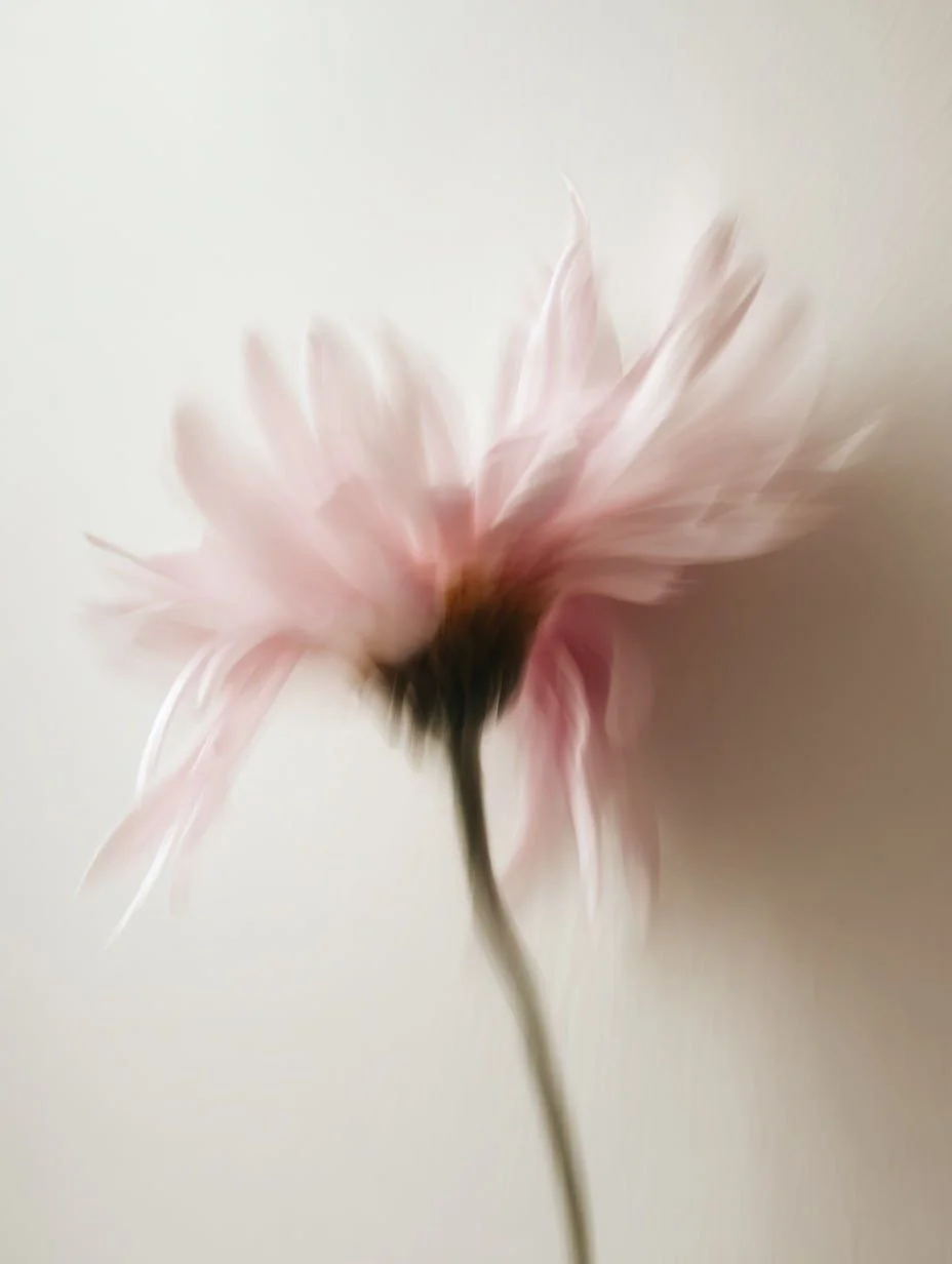 6-Month Business Mentorship Program