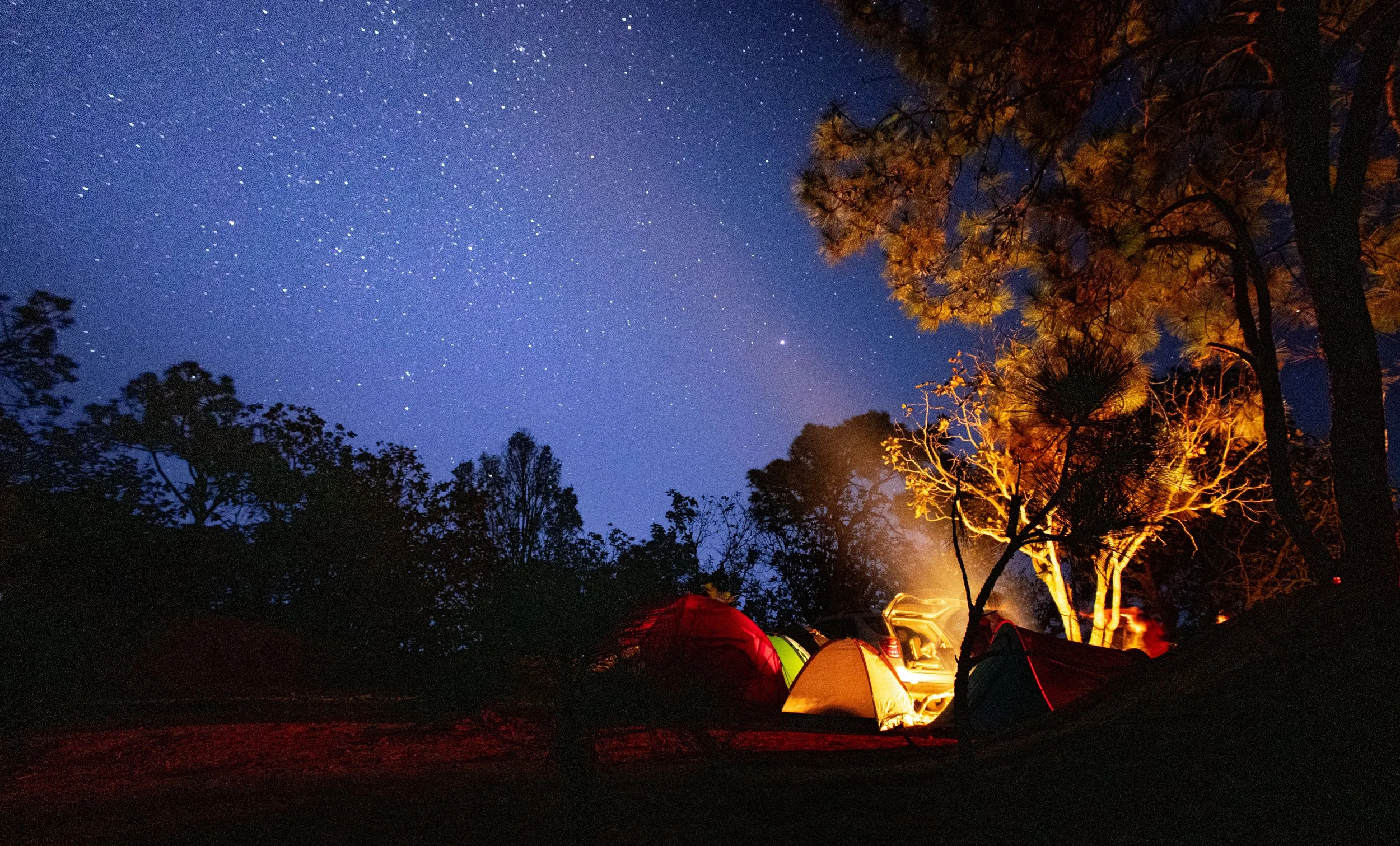 Nighttime campsite with multiple tents illuminated by campfire, surrounded by trees, under a starry sky.