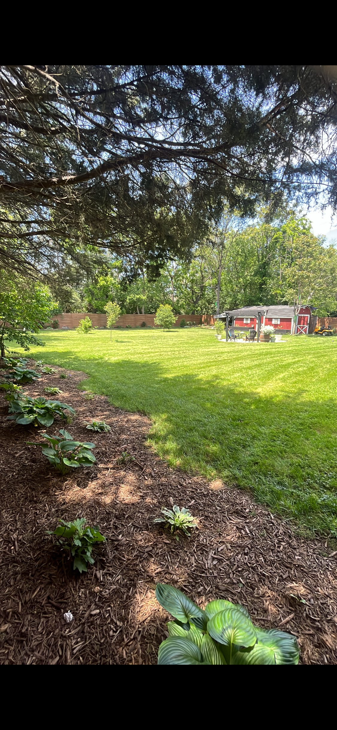 Lawn Care and maintenance