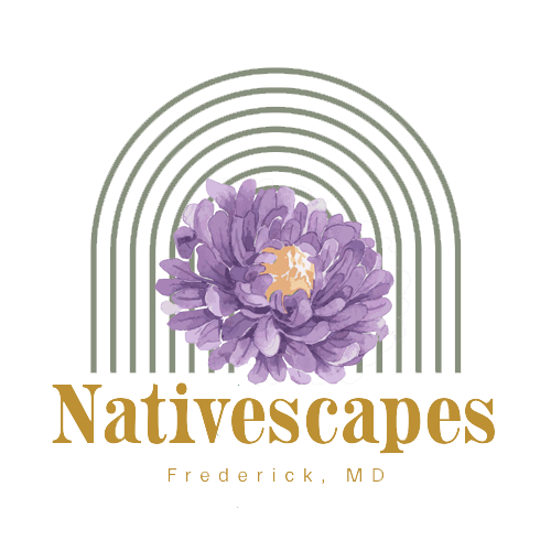 Nativescapes Frederick Maryland