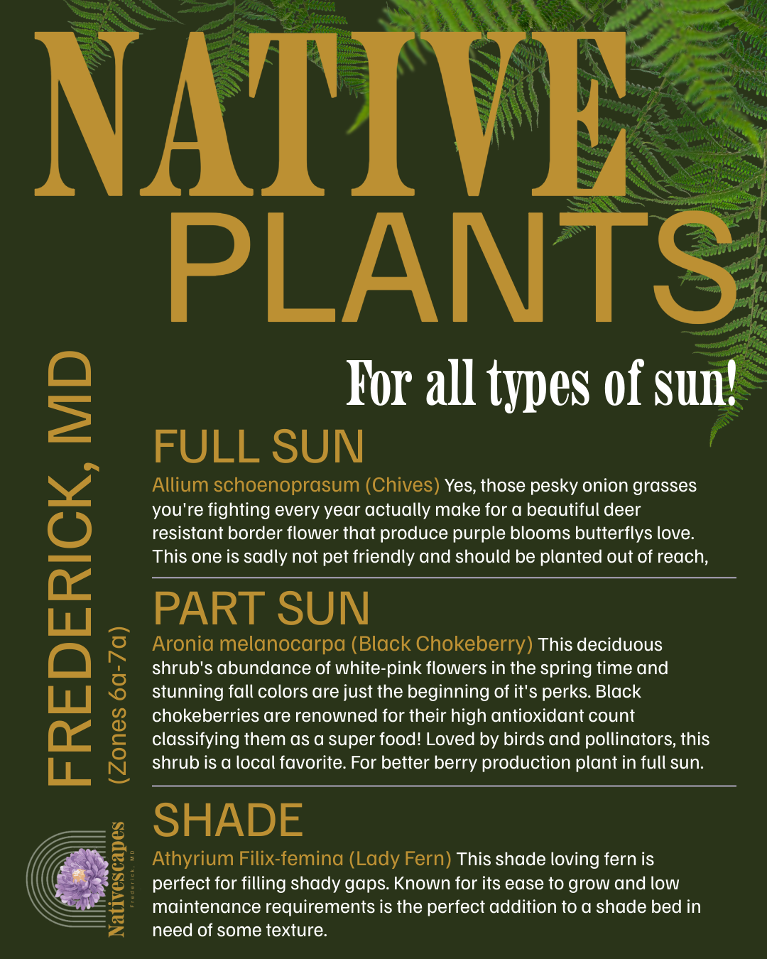 Frederick Maryland native plant options by sunlight.