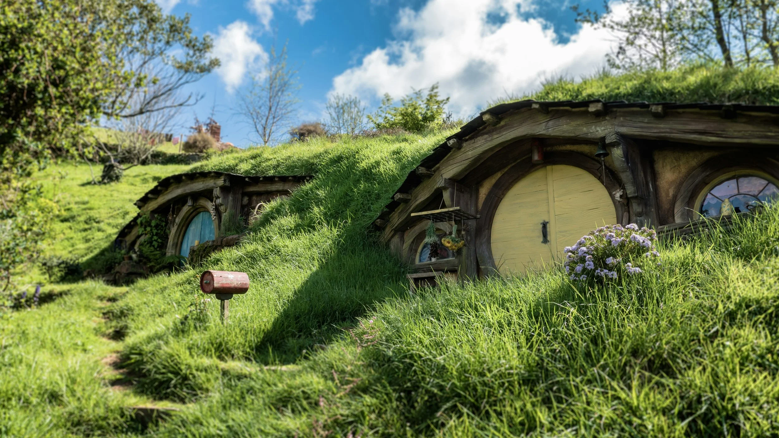 Kids in the Shire get left behind