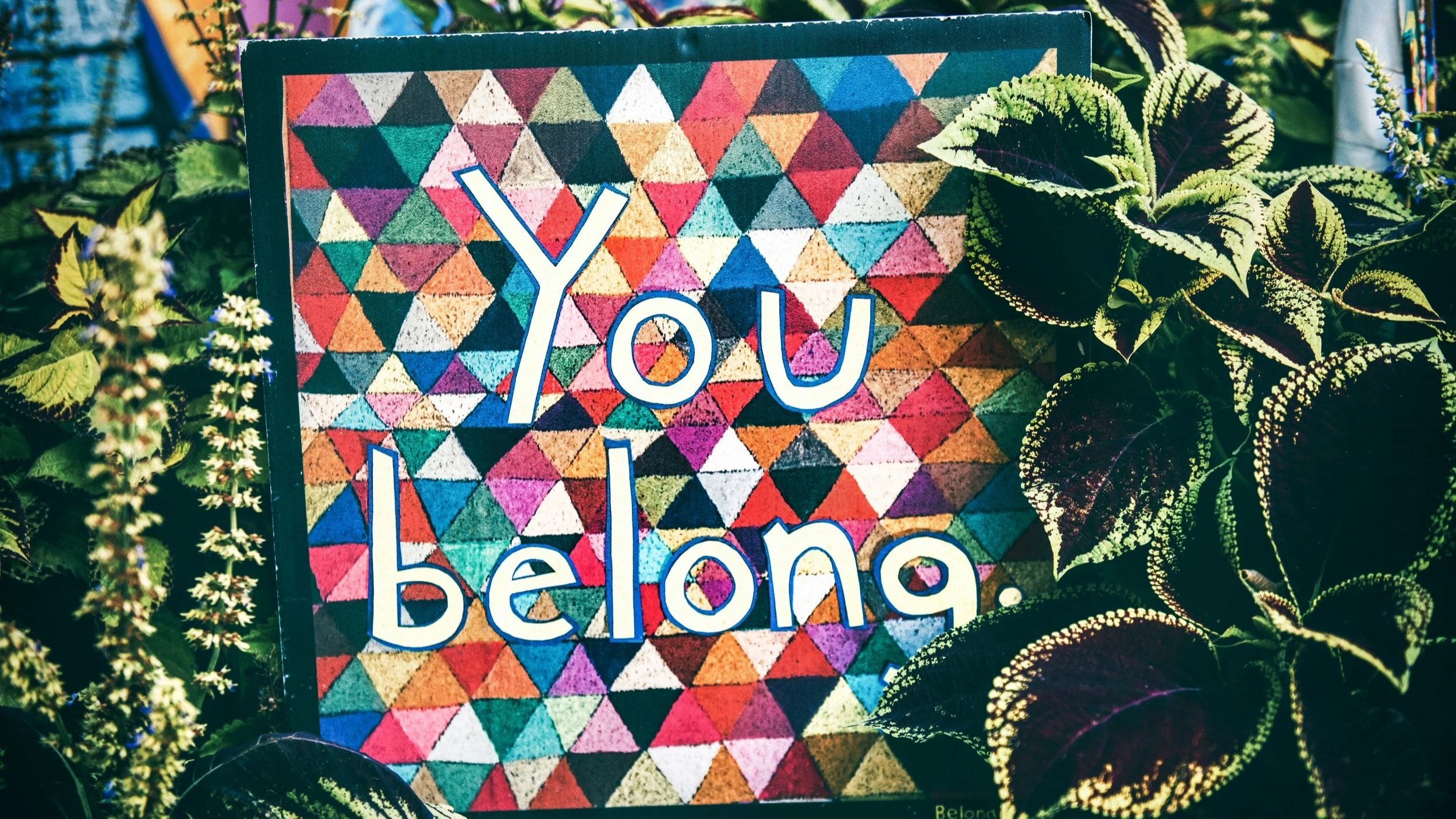 We get ‘Sense of Belonging’ wrong