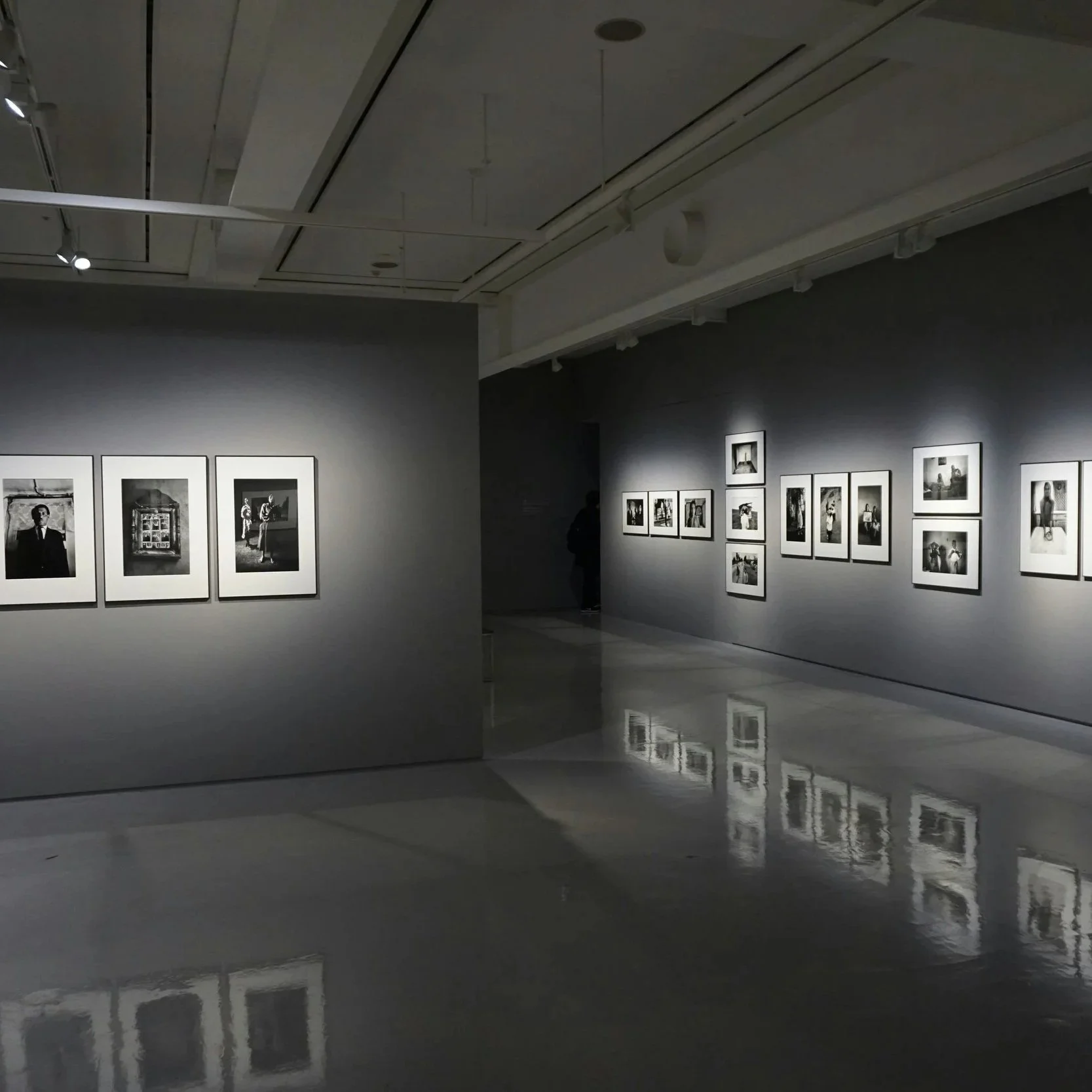 Examples and Case Studies