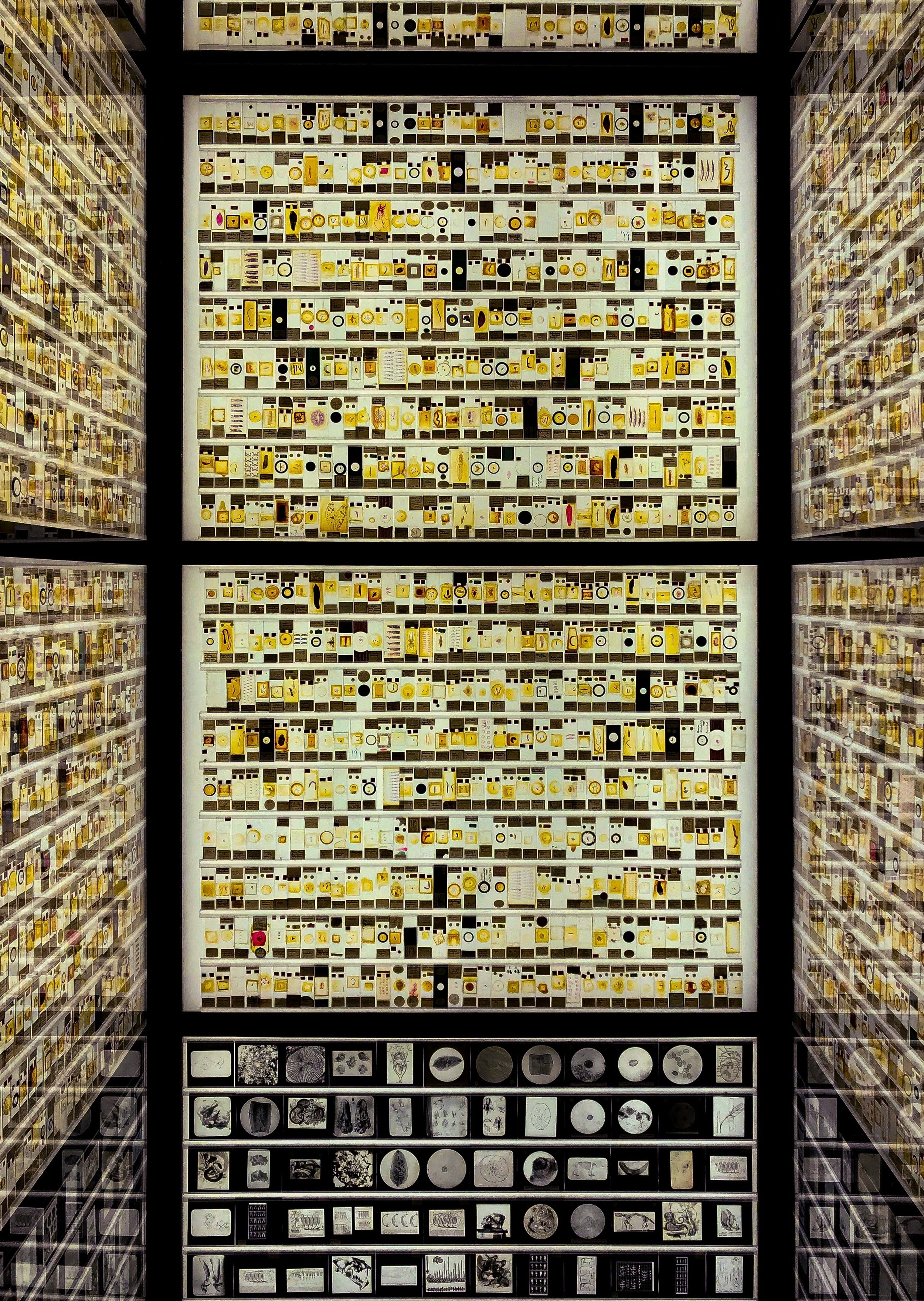 A large wall display featuring numerous small framed images, with rows of black and white images at the bottom, and surrounded by side walls with similar framed images in a grid pattern.