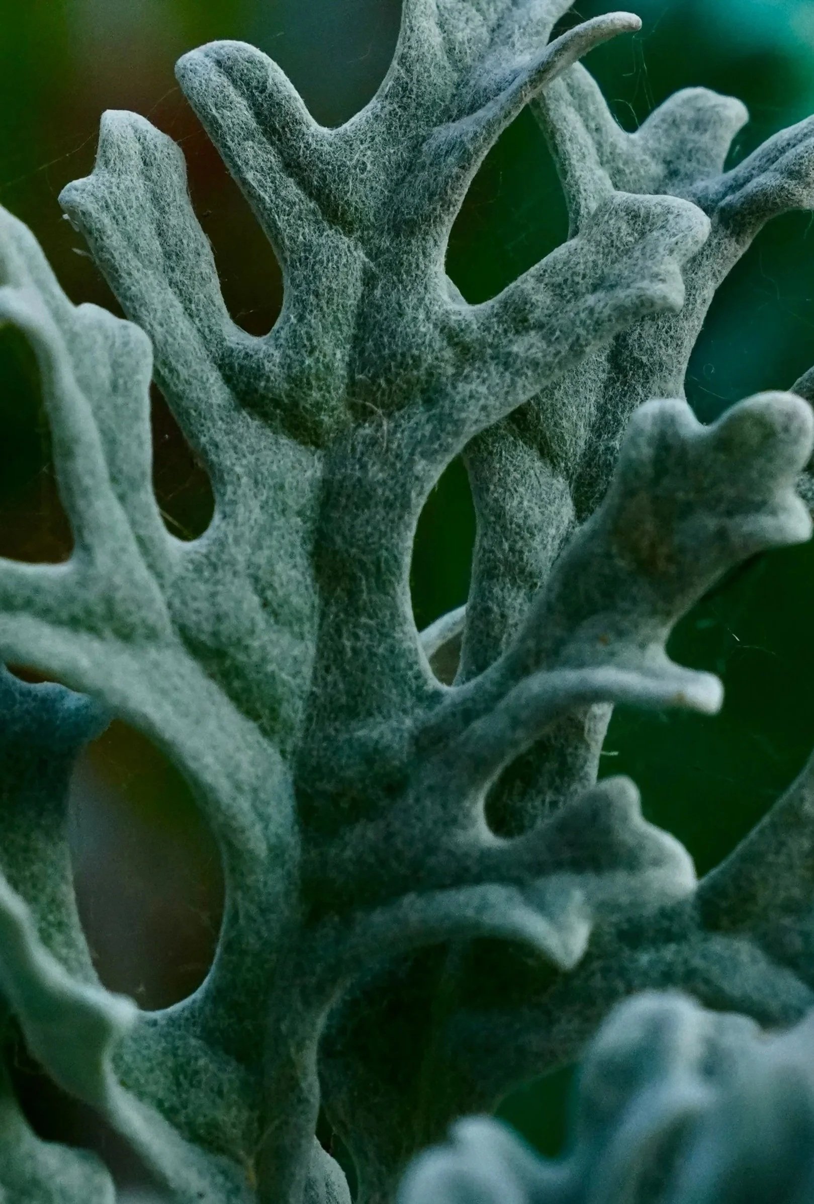 Movement Educator in Portland