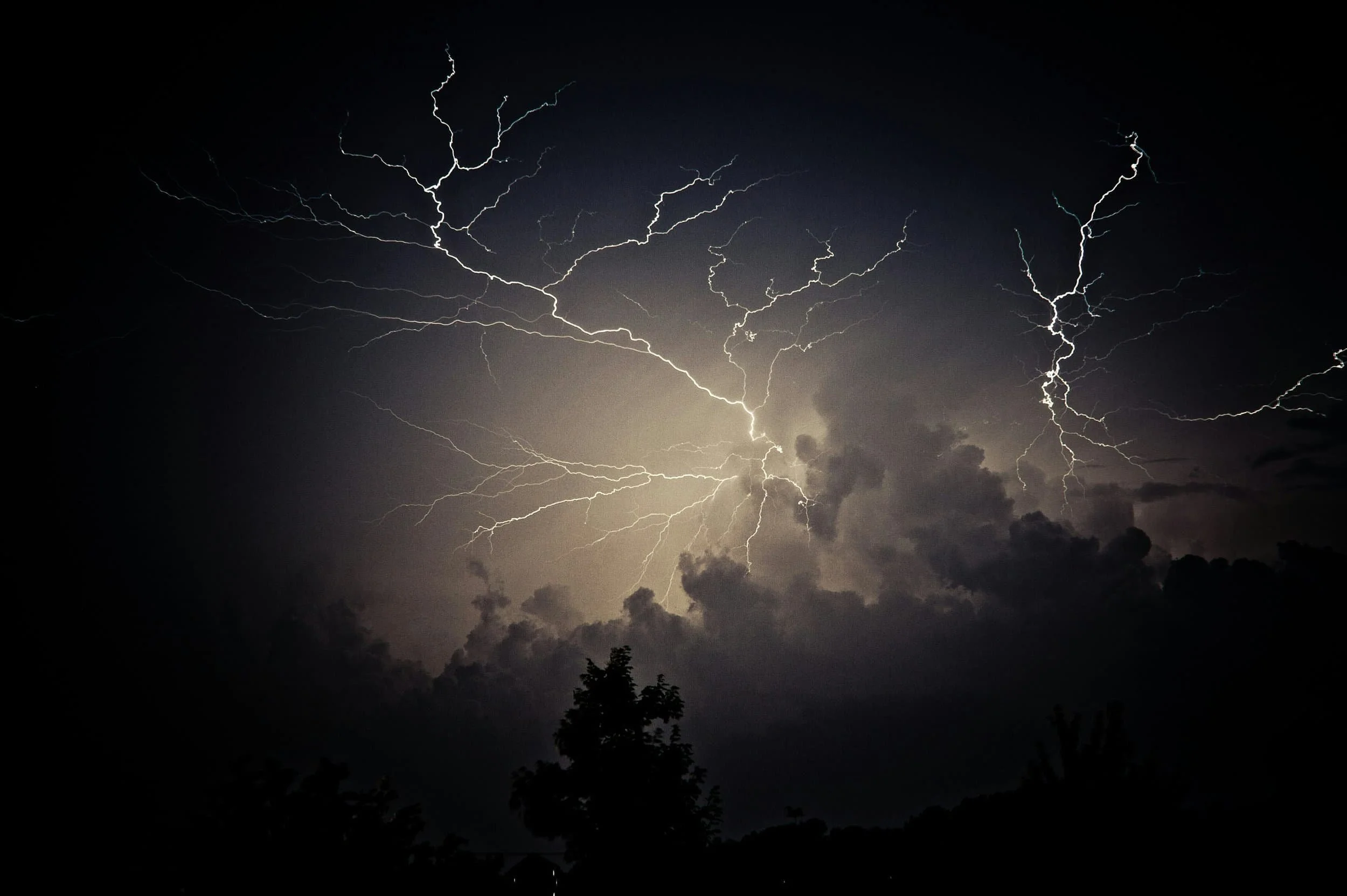 Multiple lightning bolts illuminate dark clouds at night, echoing the dynamic energy of movement education below silhouetted trees.