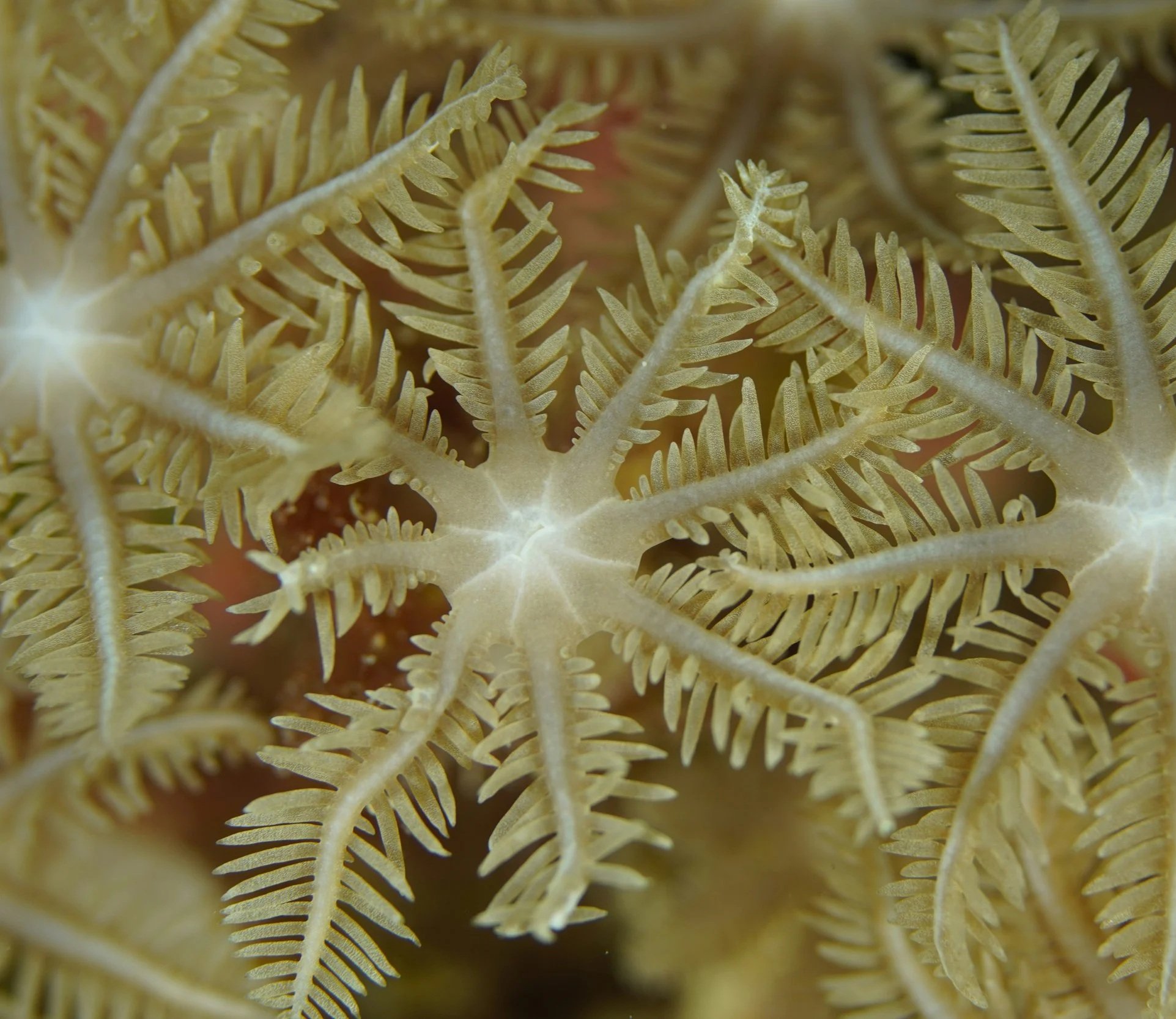 Movement Educator in Portland