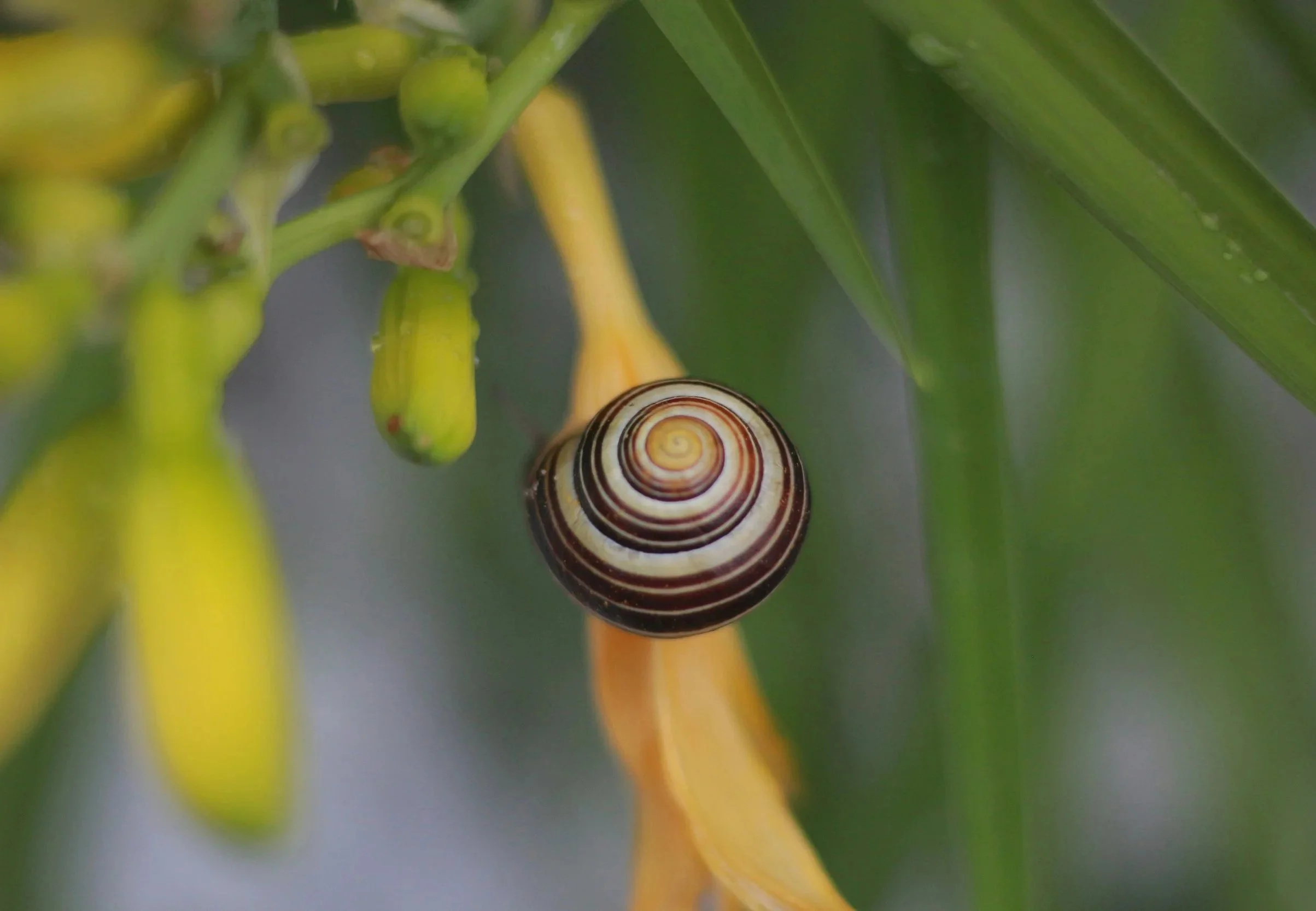 Movement Educator in Portland