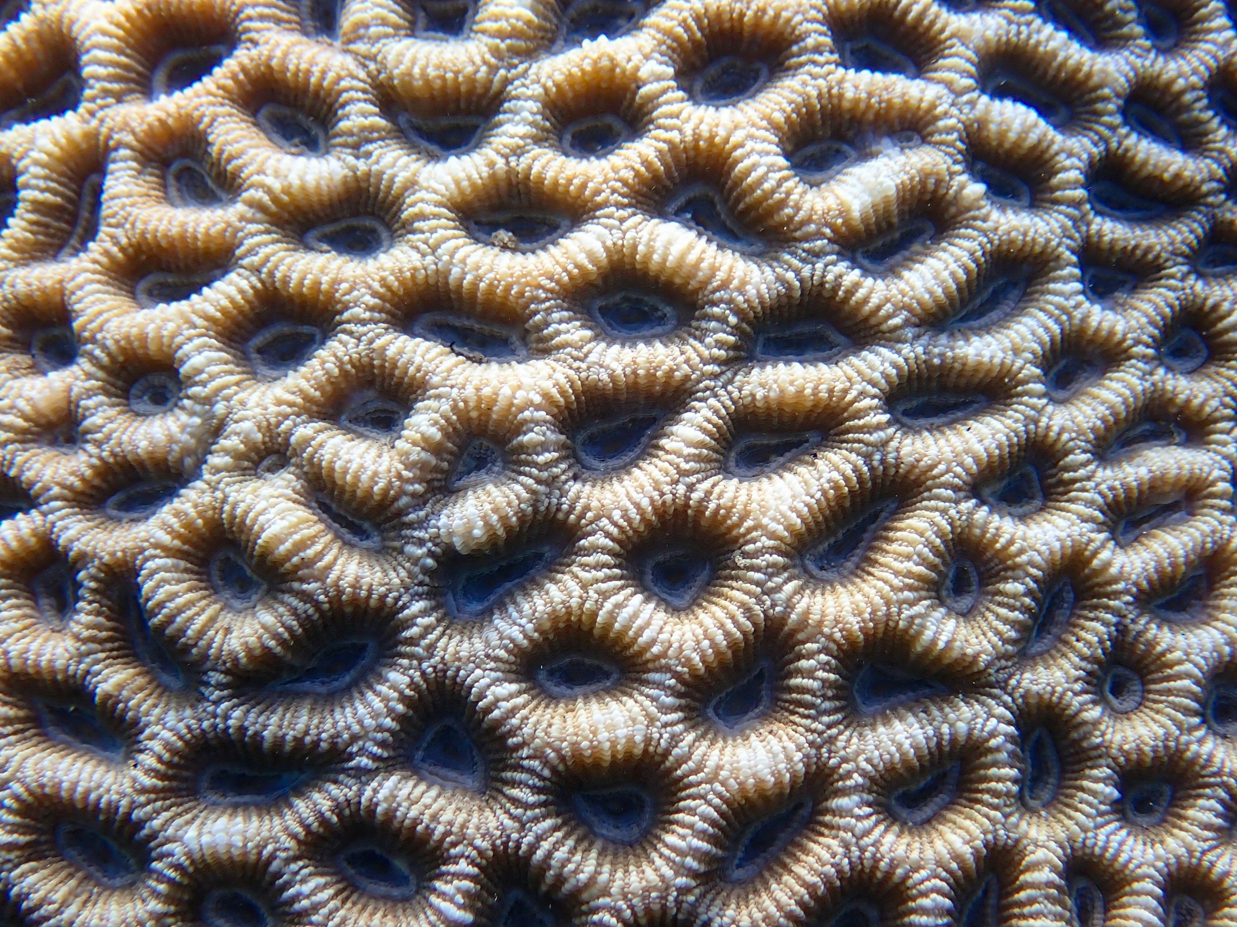 Movement Educator in Portland