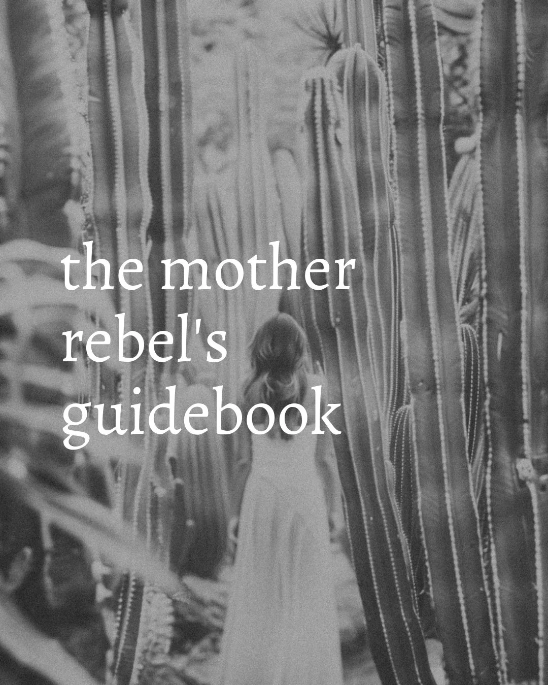 the mother rebel’s guidebook