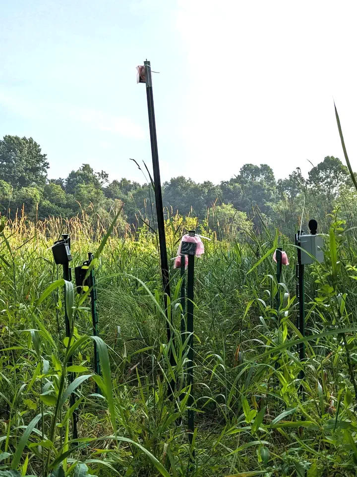 Passive Acoustic Monitoring Research Program