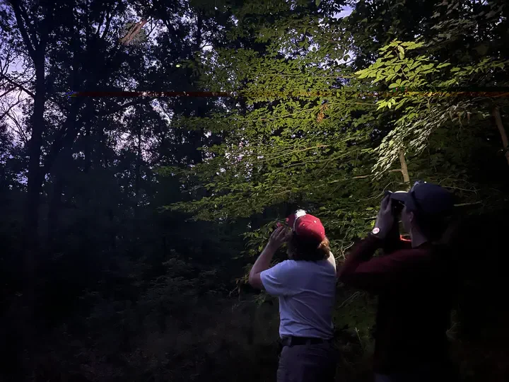 Density Estimation with ARUs