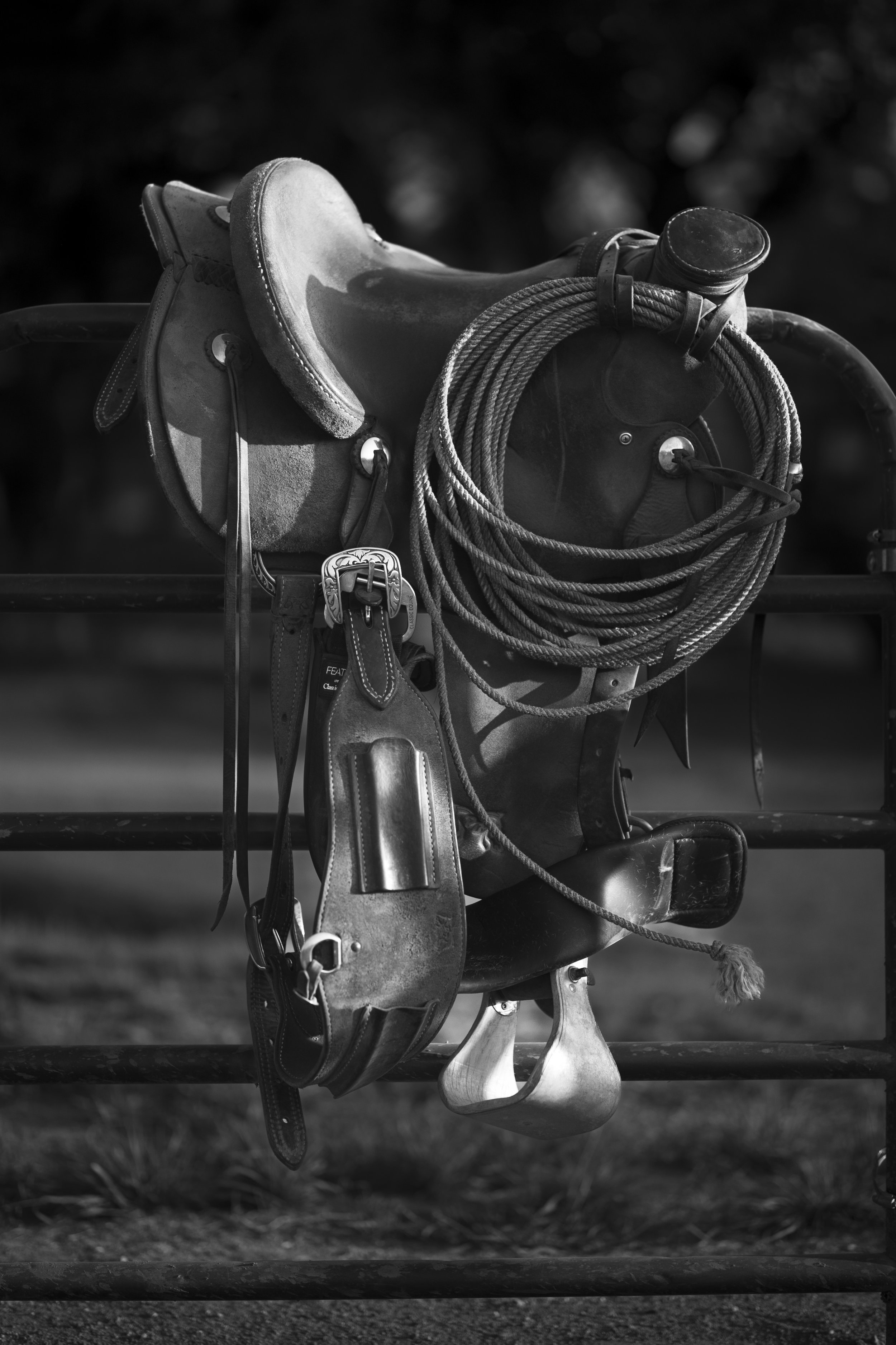 Ranch Riding Workshop with horsewoman and trainer Micheli Lynn