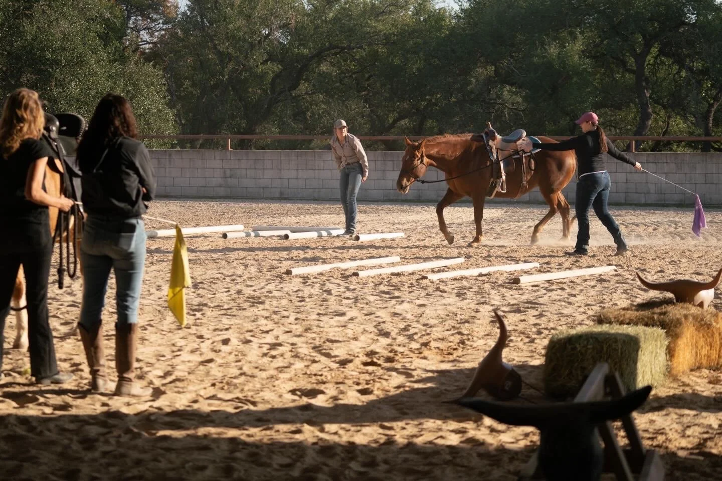 Foundation &amp; Versatility Clinic
