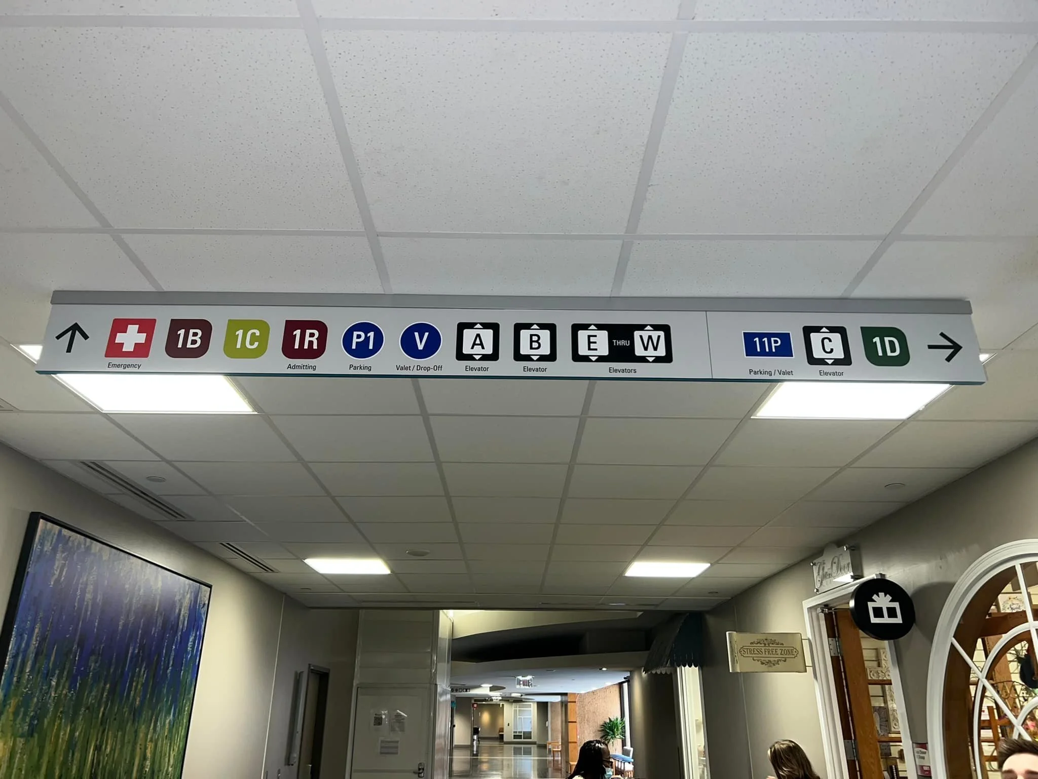 487203475_1180440803875956_1344406574221101374_n.jpg
