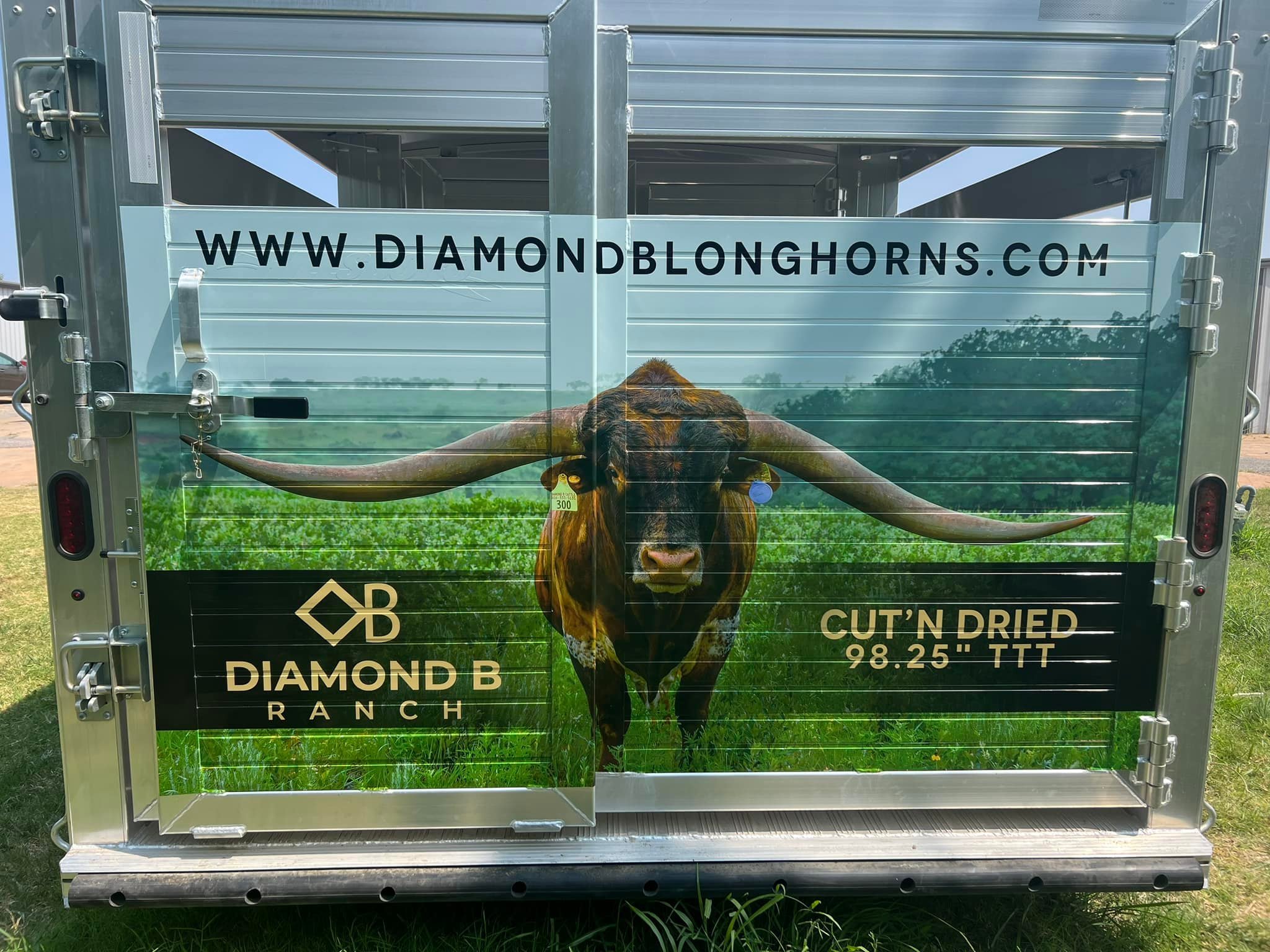 diamond b longhornds diamond b ranch vehicle wrap on a trailer with a longhorn photo
