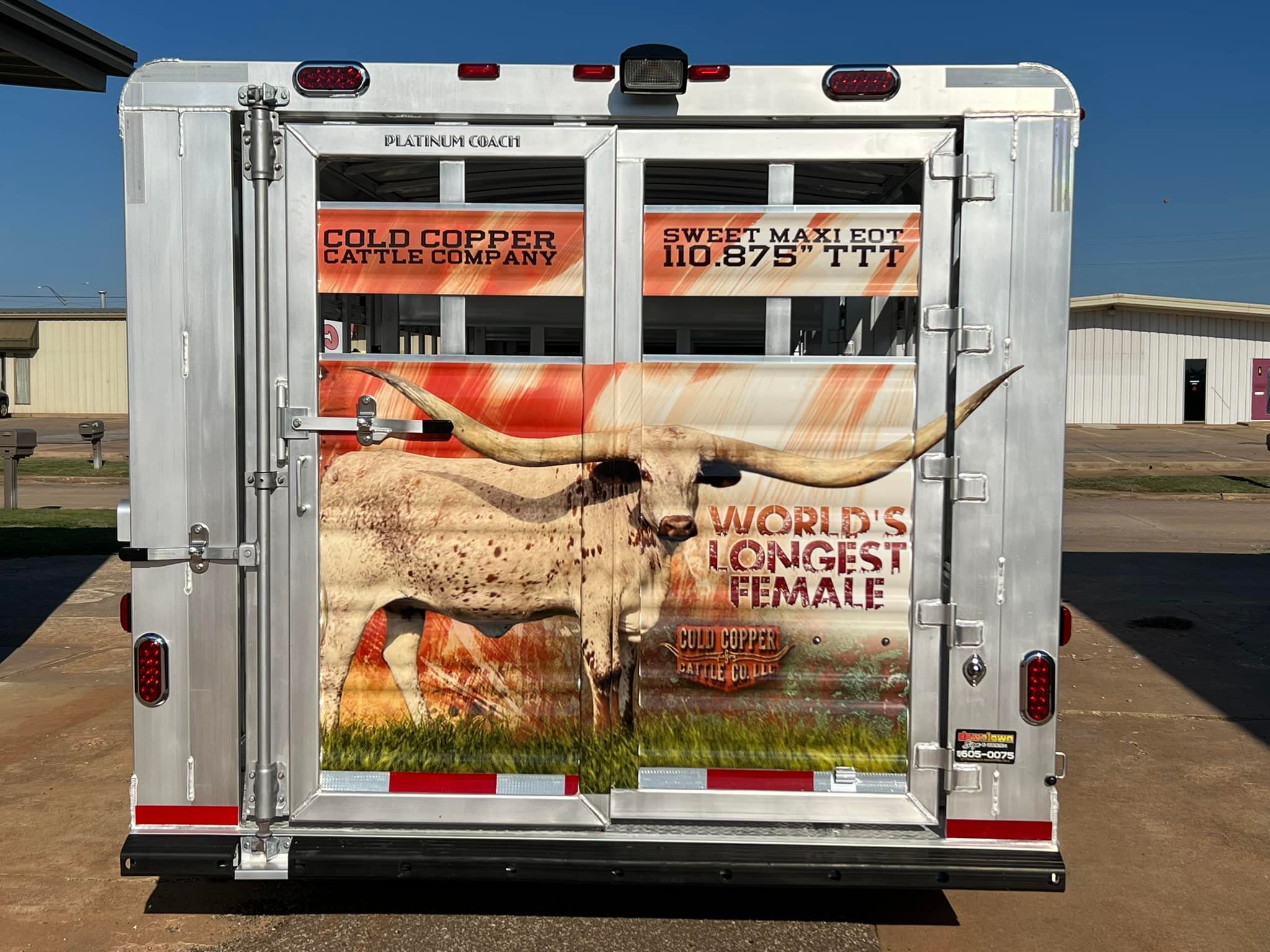 Cold Copper Cattle Company cattle vehicle wrap 