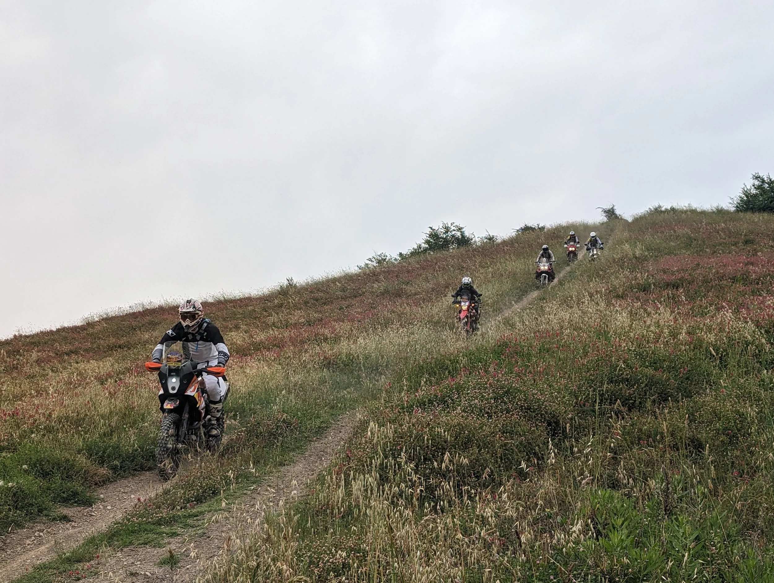 Gruppo di motociclisti che attraversano un sentiero su una collina ricoperta di erba e fiori selvatici, con cielo nuvoloso.