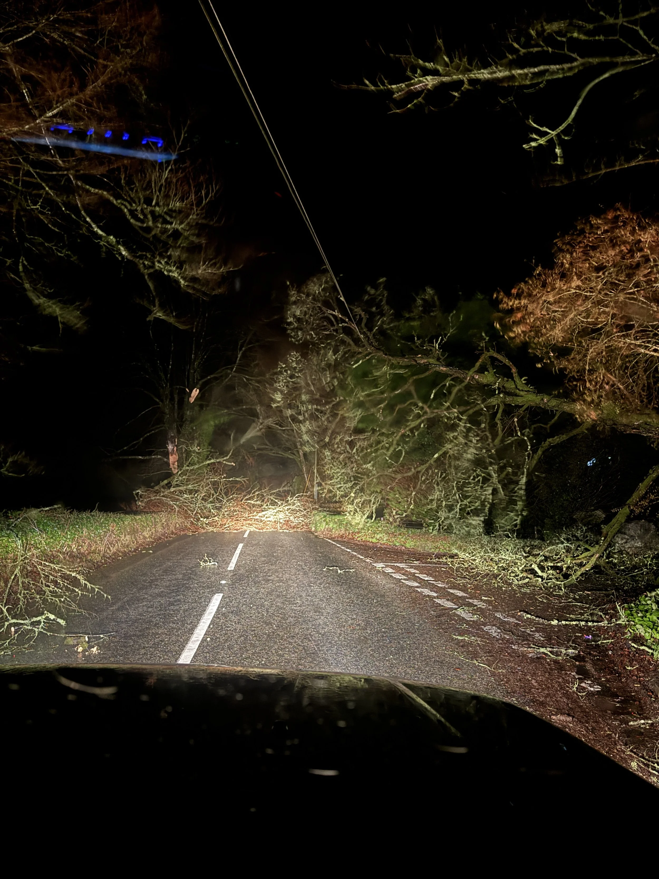 Storm Goretti: The Great Fence Upgrade of 2026