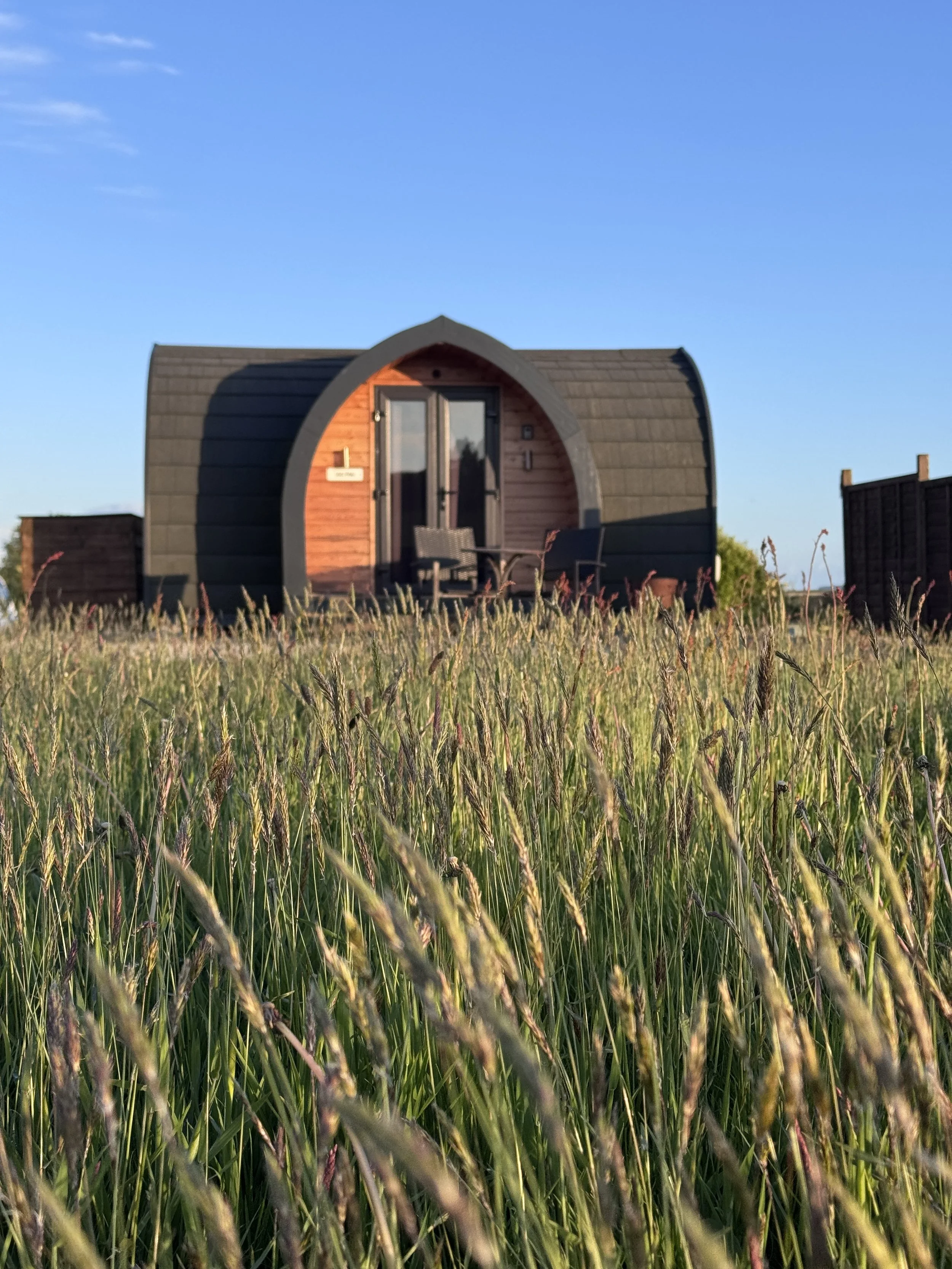 Our 3 person Golitha pod facing out to the sunset. here at Fursdon farm