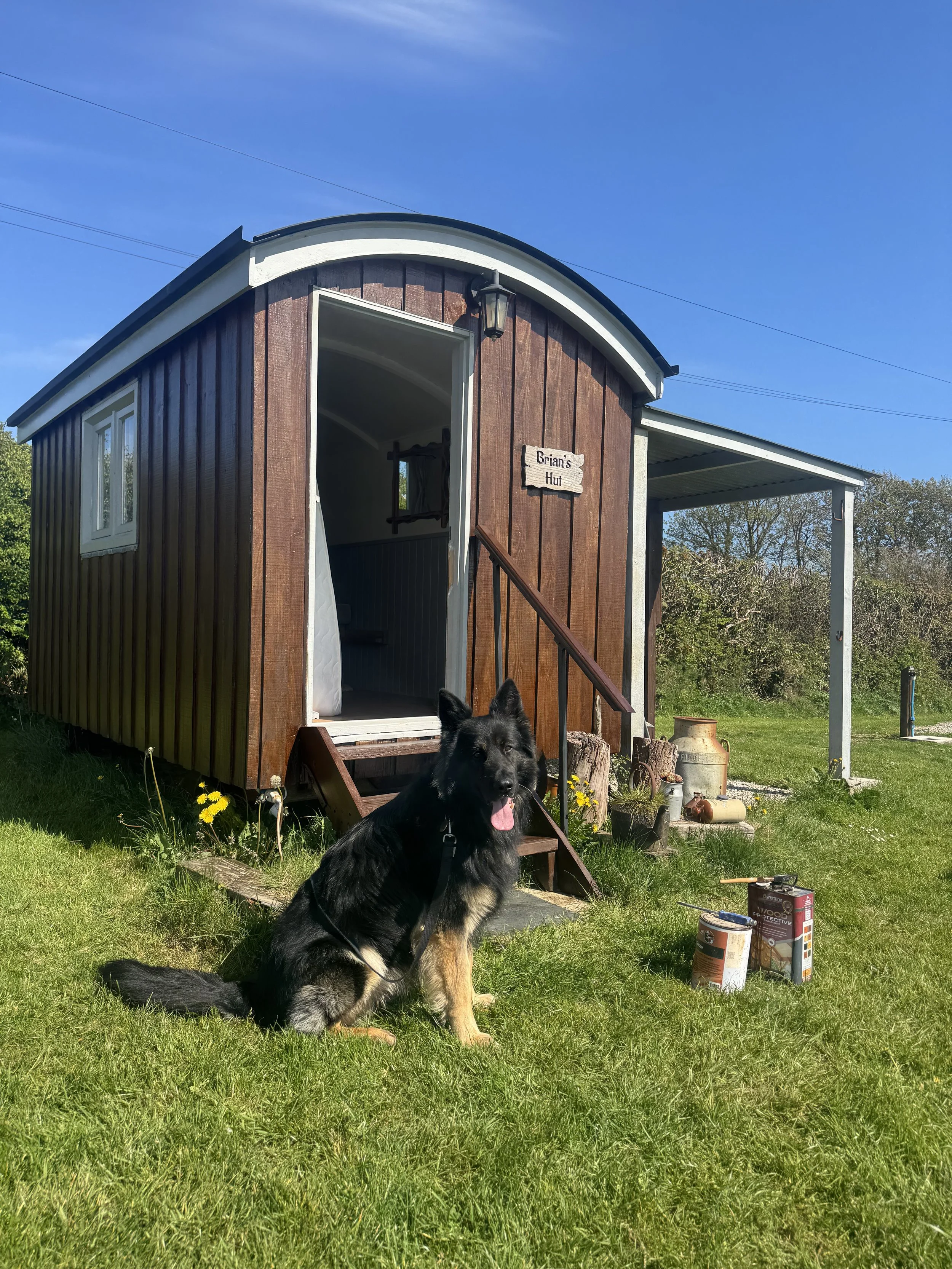 dog friendly shepherds hut