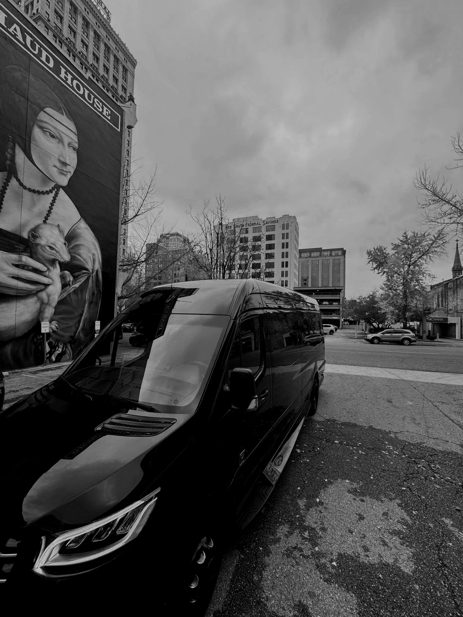 Black van parked on a city street near a building with a large mural of a woman holding a cat, with trees and other buildings in the background and an overcast sky.