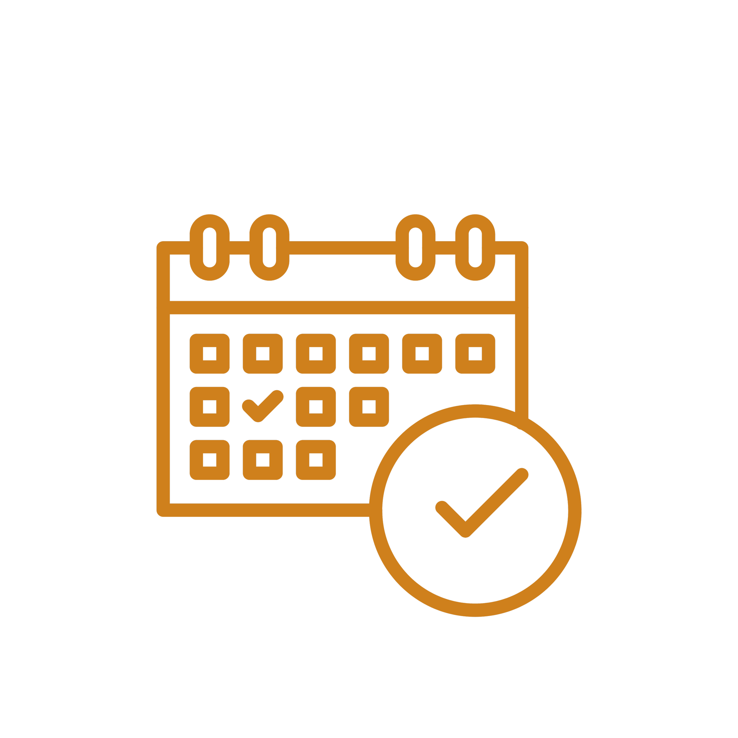 Icon of a calendar with a checkmark and a large checkmark symbol indicating an appointment or scheduled event.