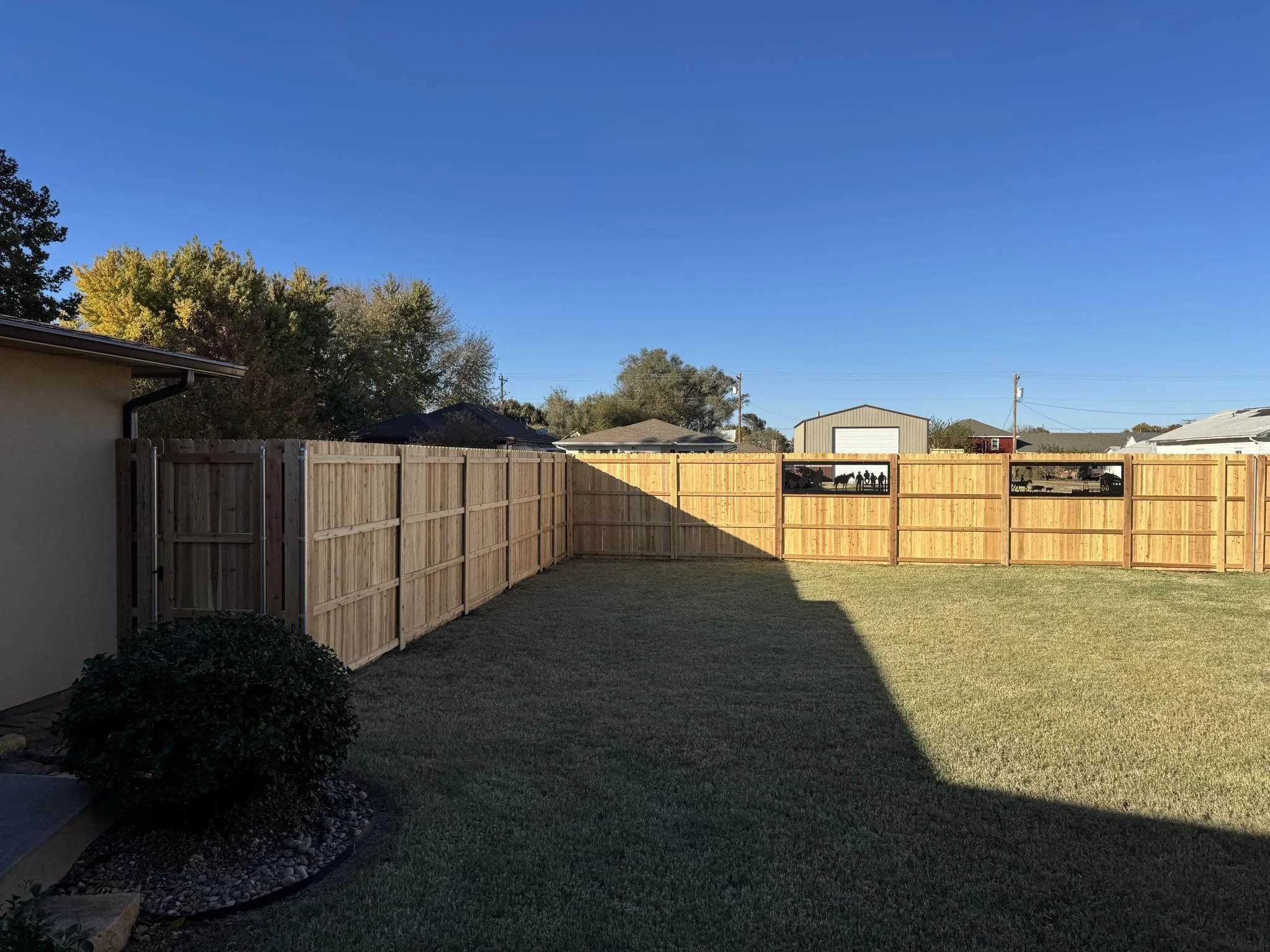 A backyard enclosed by wooden fencing, with a small shrub on the left, a grassy lawn, and a clear blue sky overhead. In the distance, there are utility poles and a shed or garage.