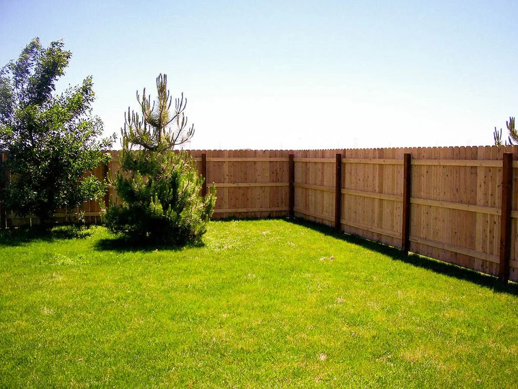 A backyard with green grass, two small trees on the left, and a wooden fence on the right and back.