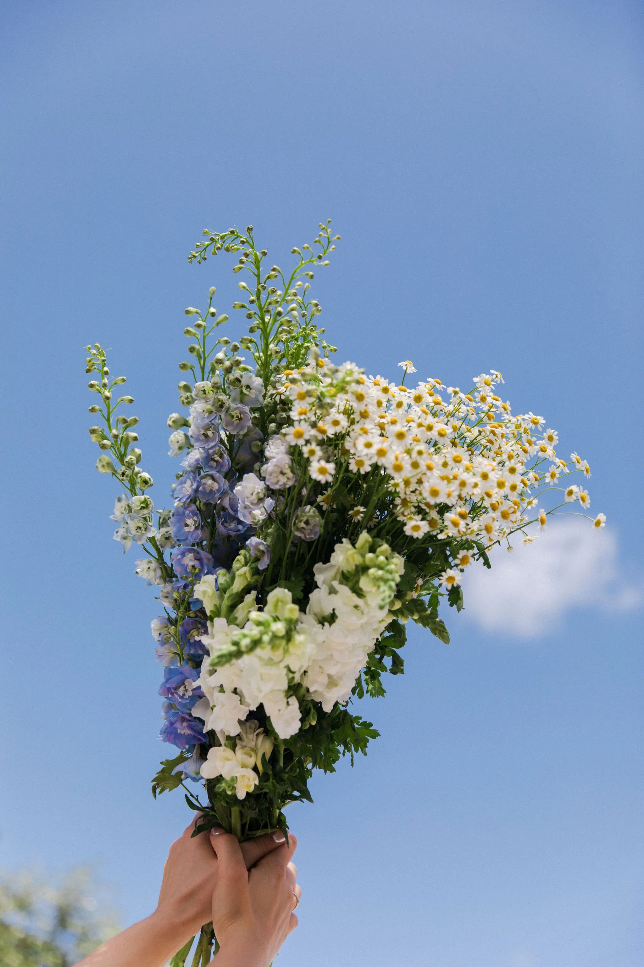 Person holding a bouquet of mixed flowers against a clear blue sky.