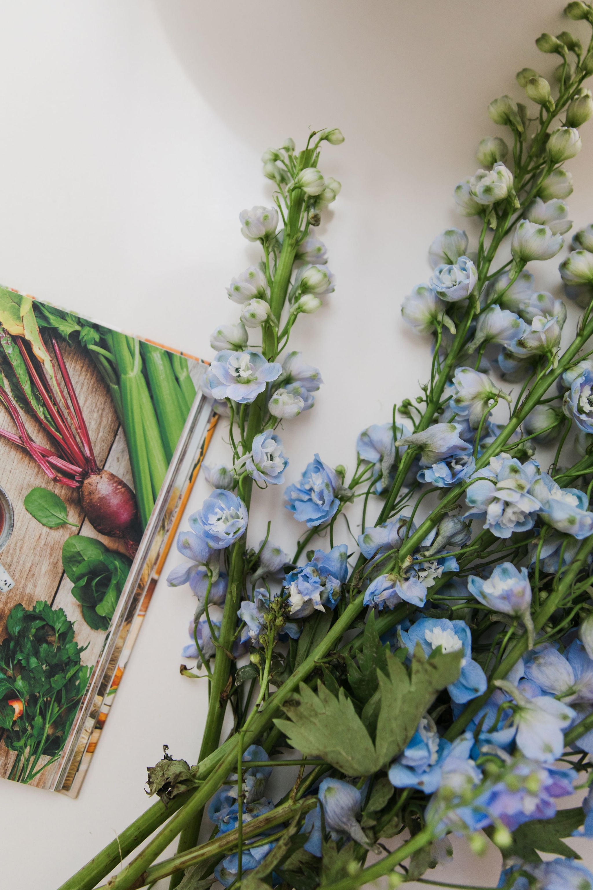 Blue and white delphinium flowers with green stems and leaves, placed on a white surface, with a colorful seed packet featuring vegetable illustrations partially visible.