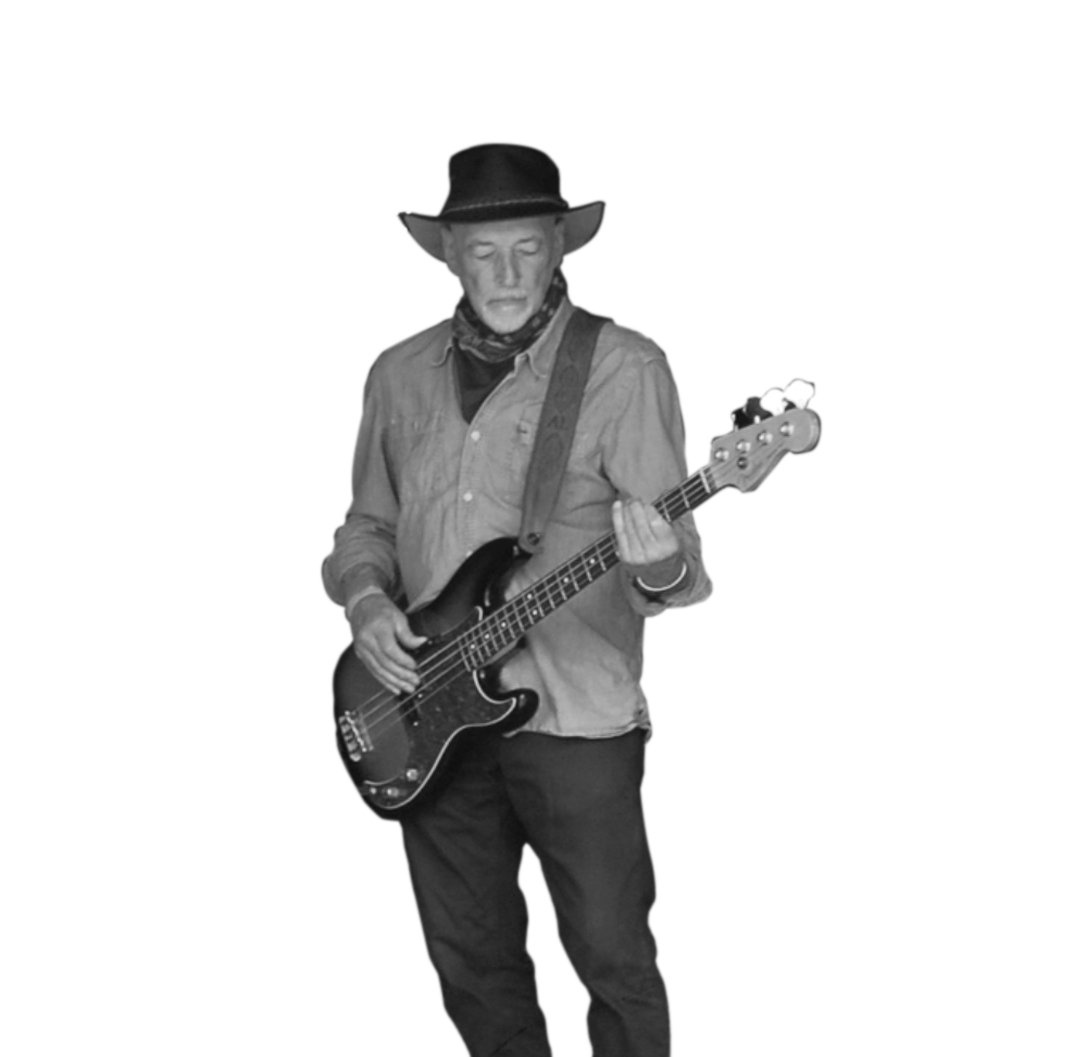 A man in a cowboy hat playing an electric bass guitar.
