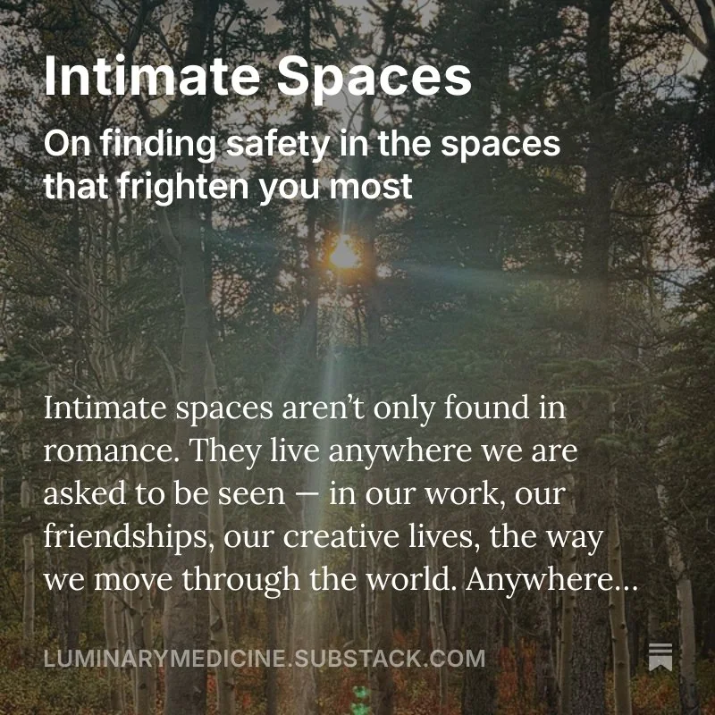 Cover of a book or article titled "Intimate Spaces" with a subtitle "On finding safety in the spaces that frighten you most." The background shows a forest scene with sunlight peeking through trees.